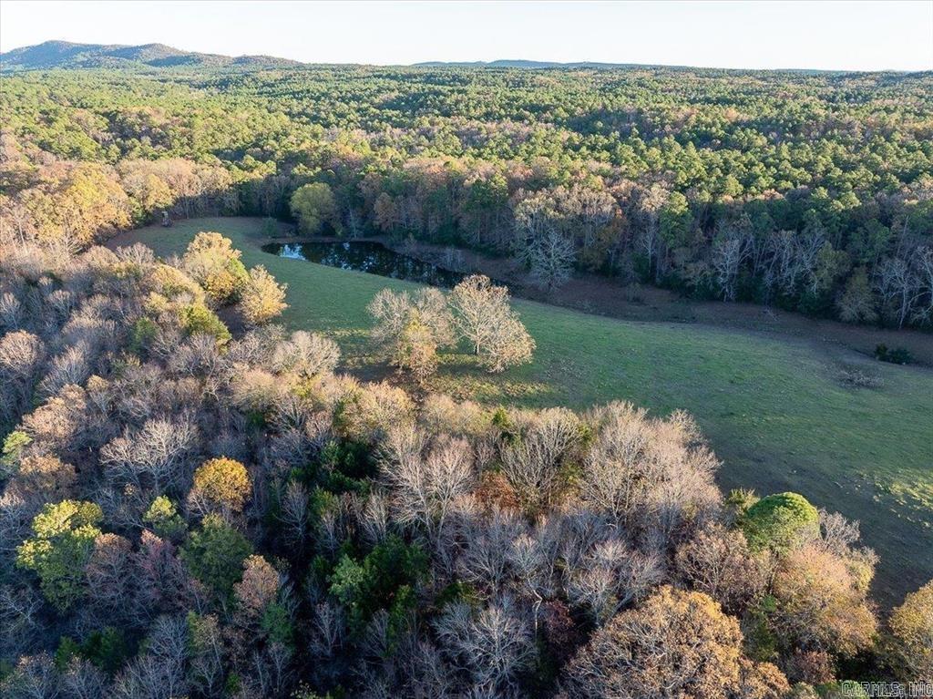 TBD  Easement road off of Polk 295 Parcel #2 Hatfield, AR
