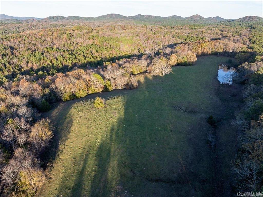 TBD  Easement road off of Polk 295 Parcel #2 Hatfield, AR