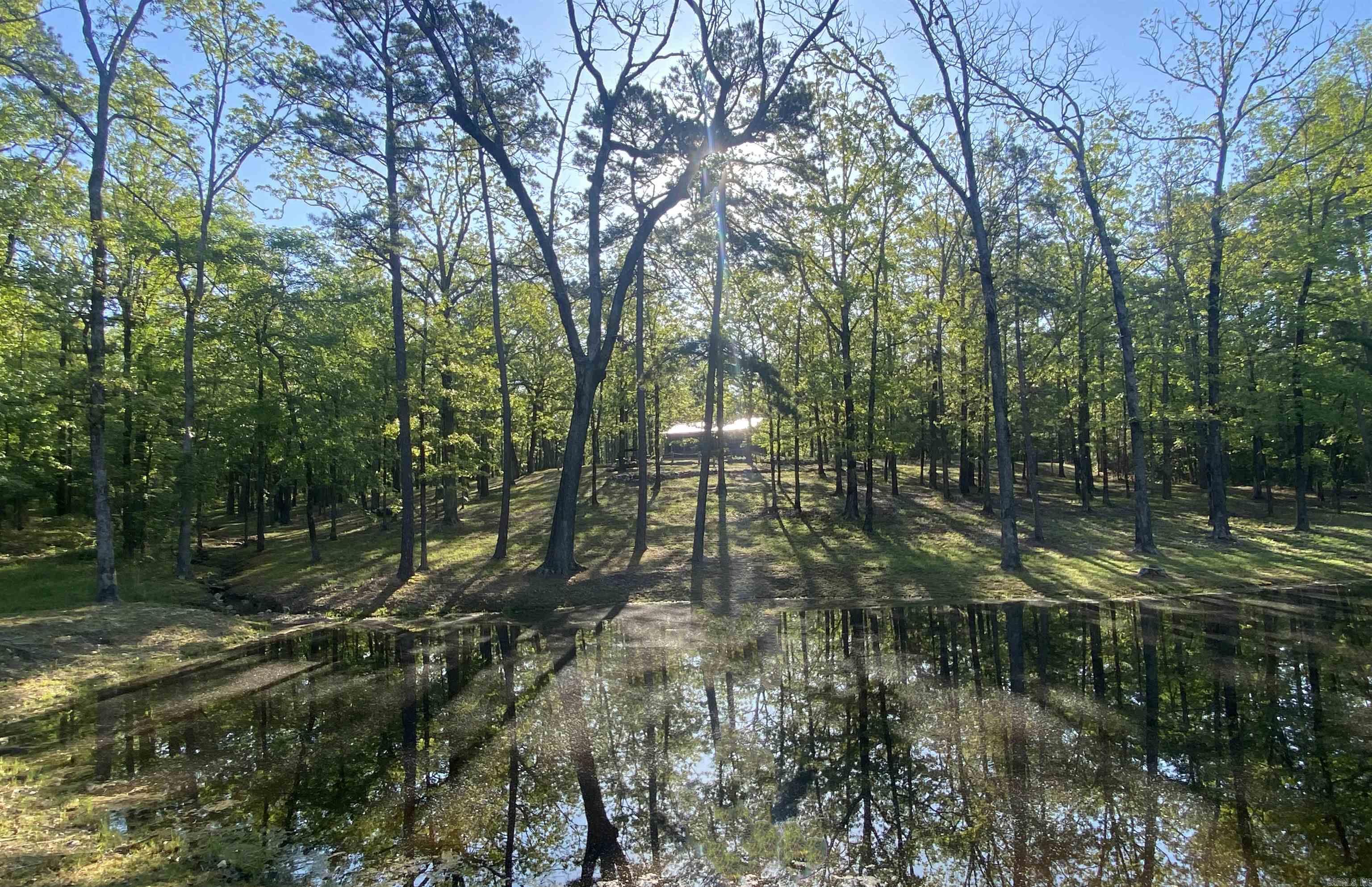 59 Easy Street Mount Ida, AR 71957