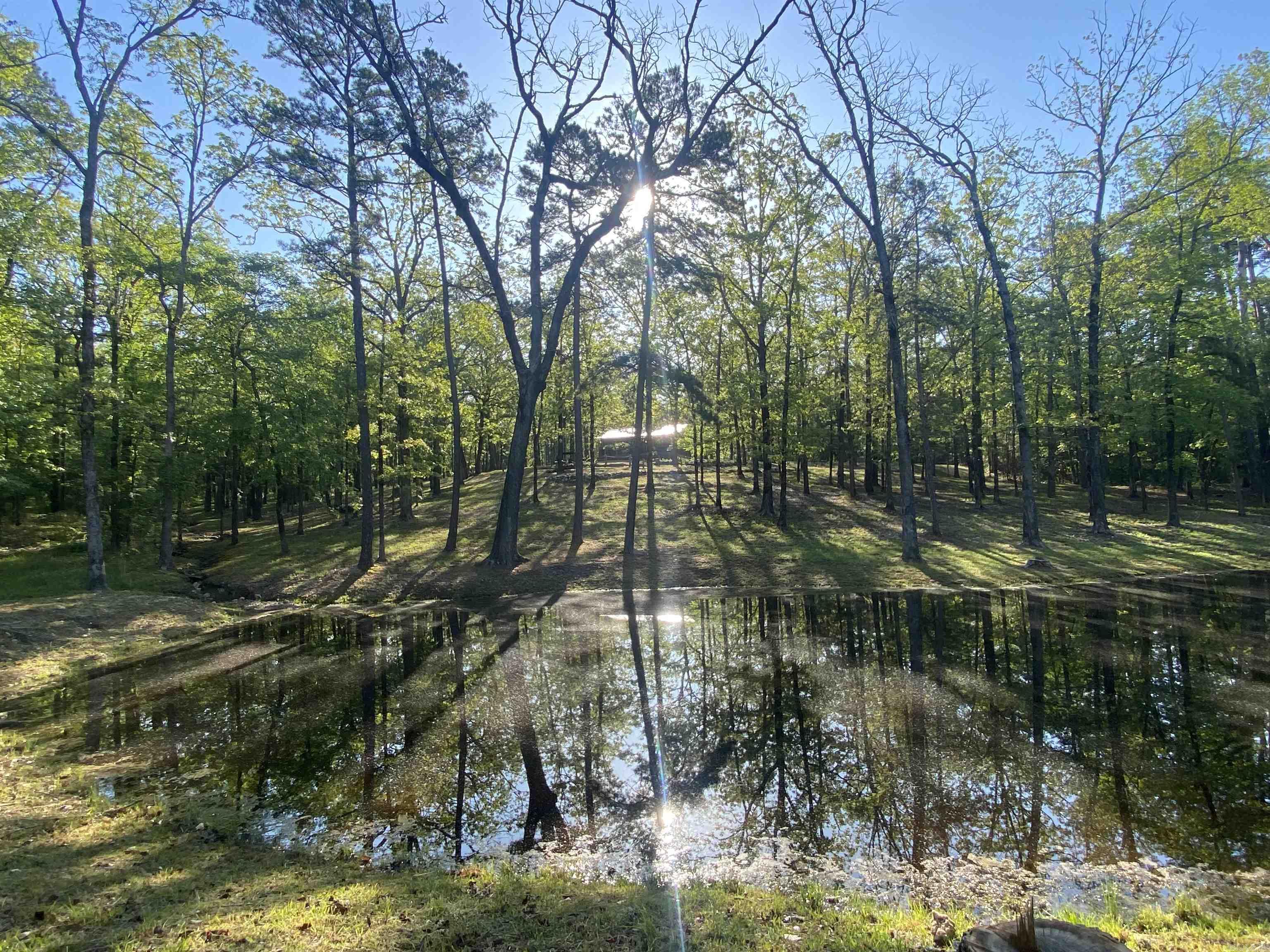 59 Easy Street Mount Ida, AR 71957