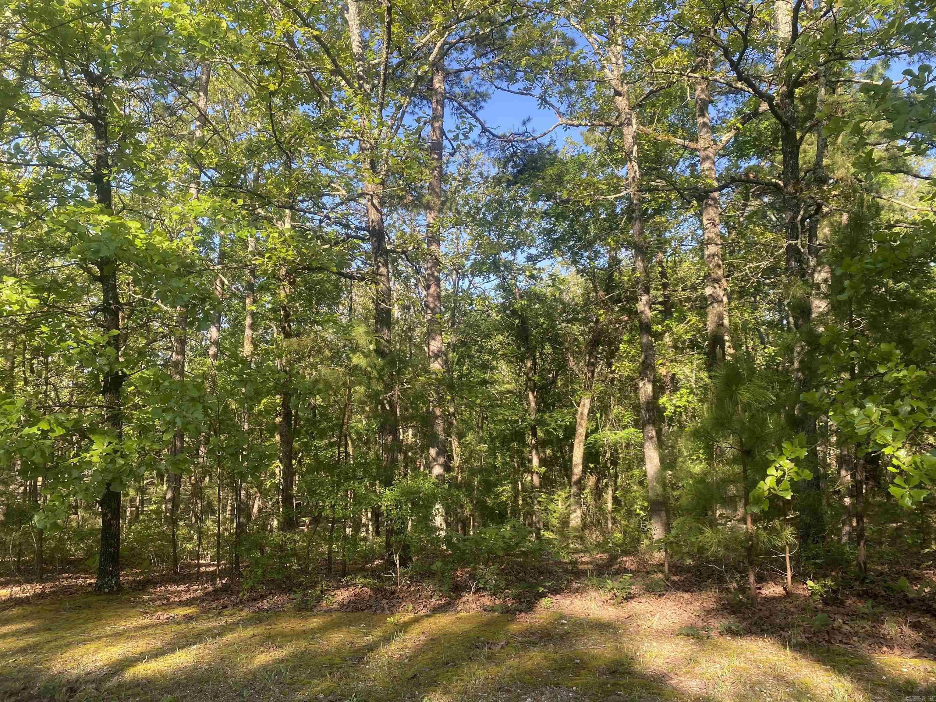 59 Easy Street Mount Ida, AR 71957