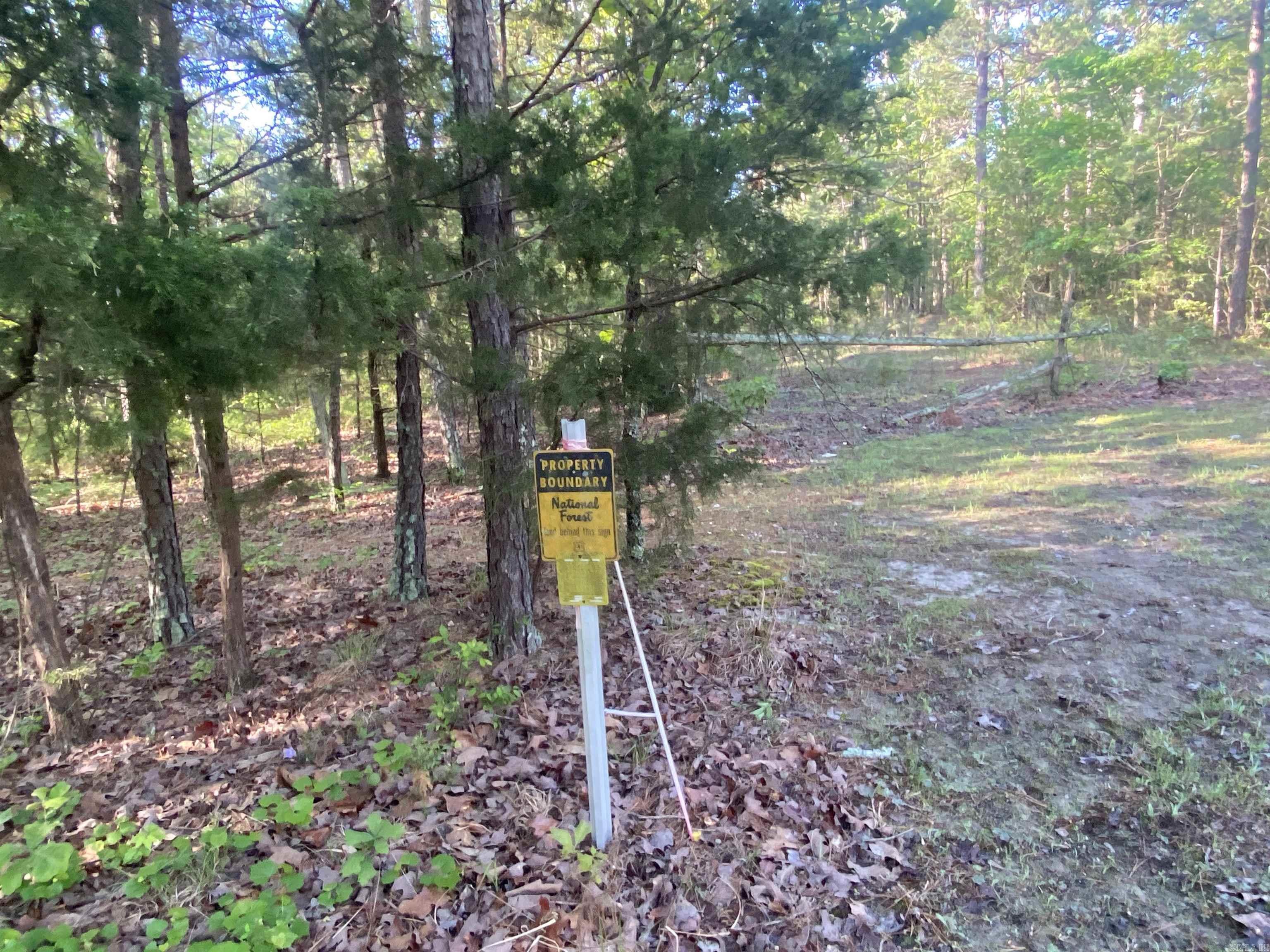 59 Easy Street Mount Ida, AR 71957