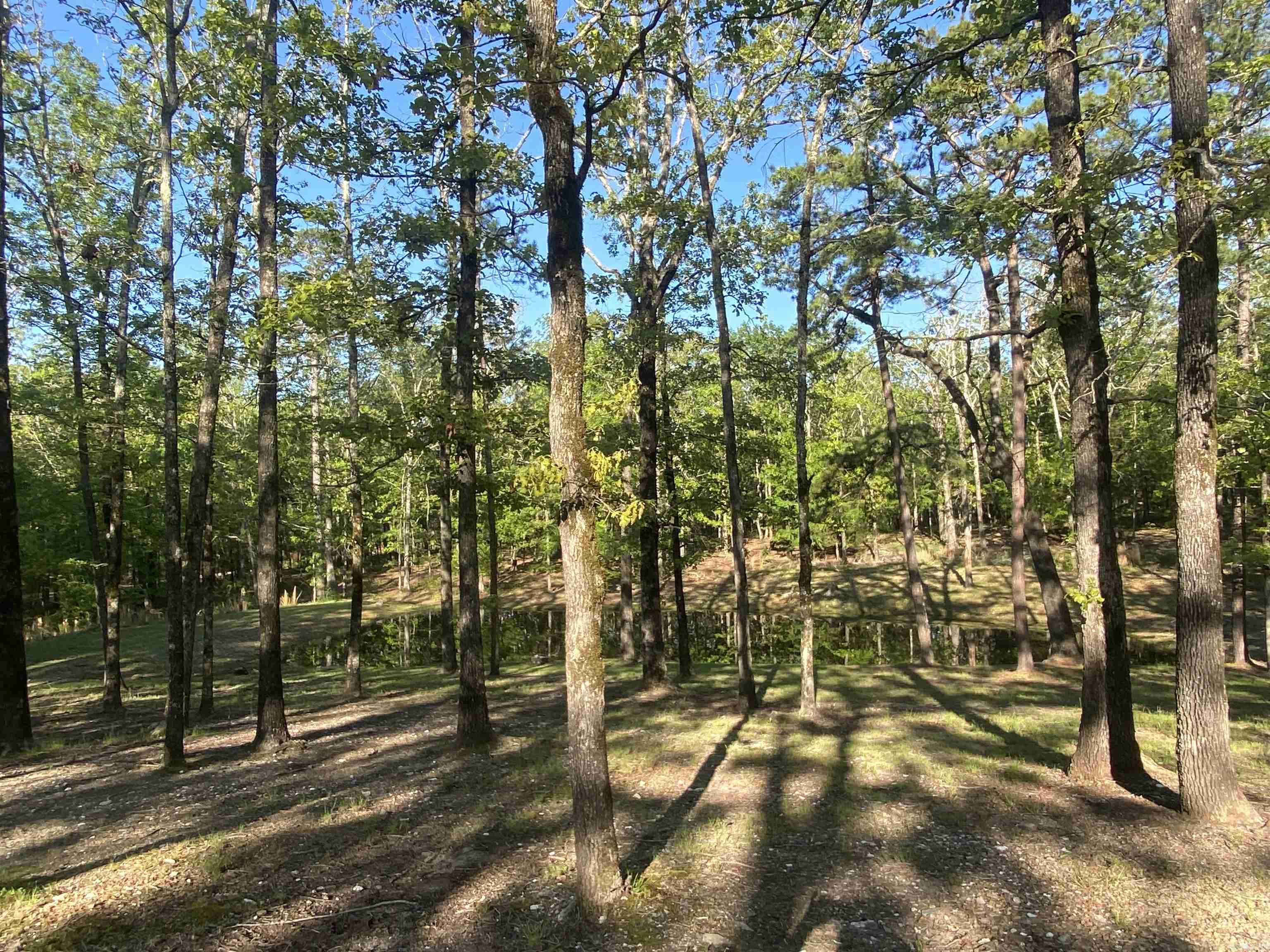 59 Easy Street Mount Ida, AR 71957
