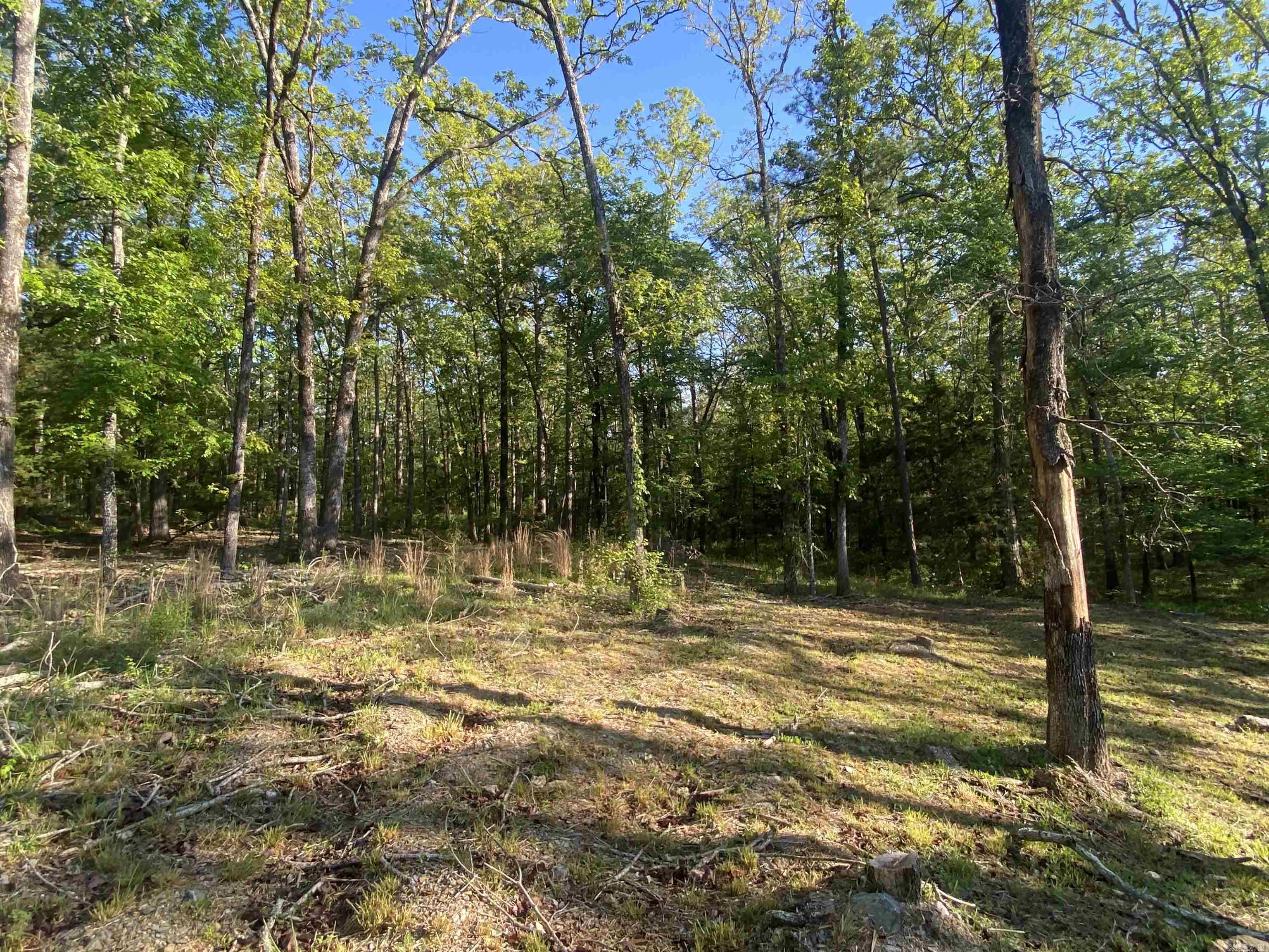 59 Easy Street Mount Ida, AR 71957