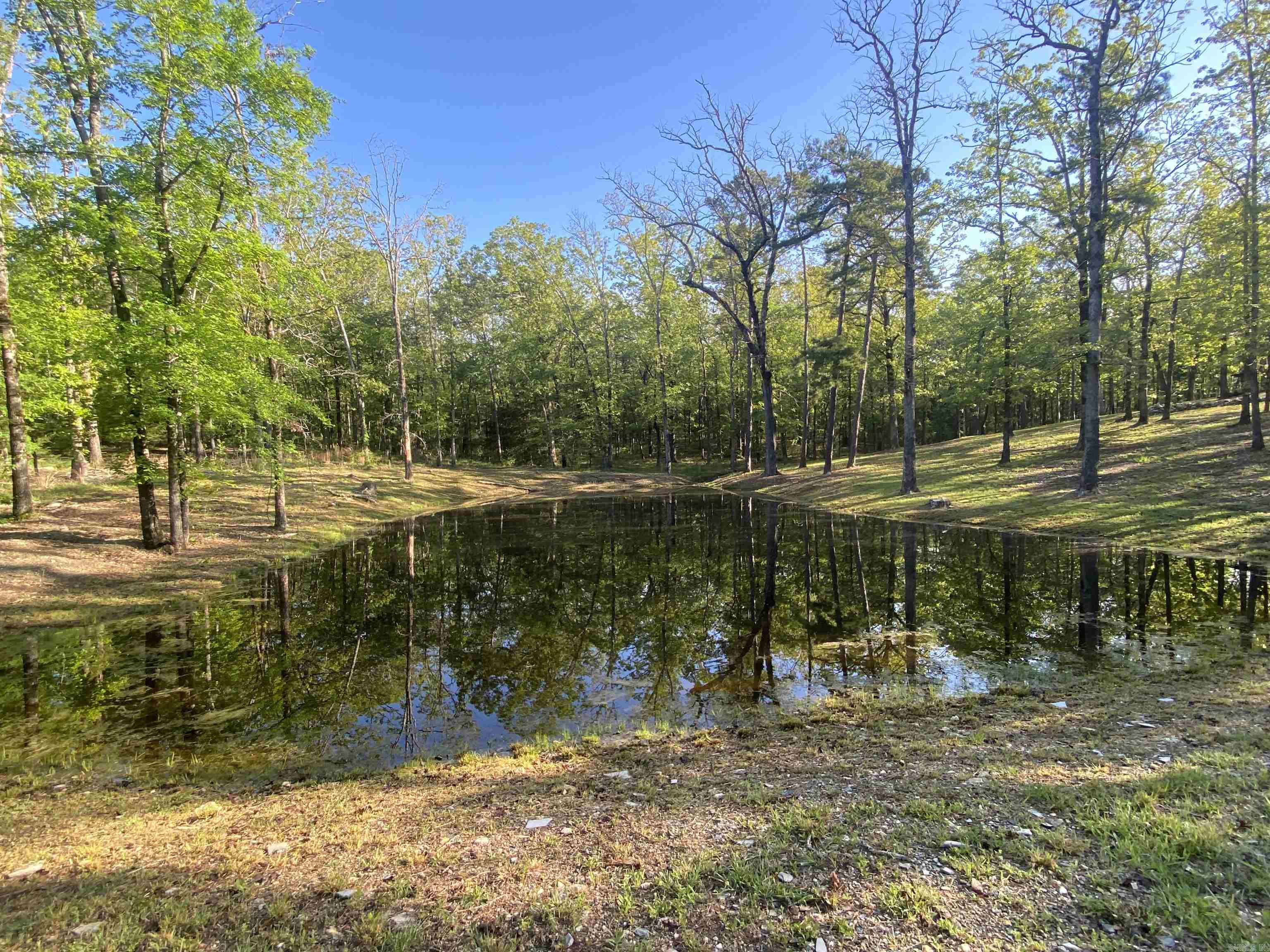 59 Easy Street Mount Ida, AR 71957