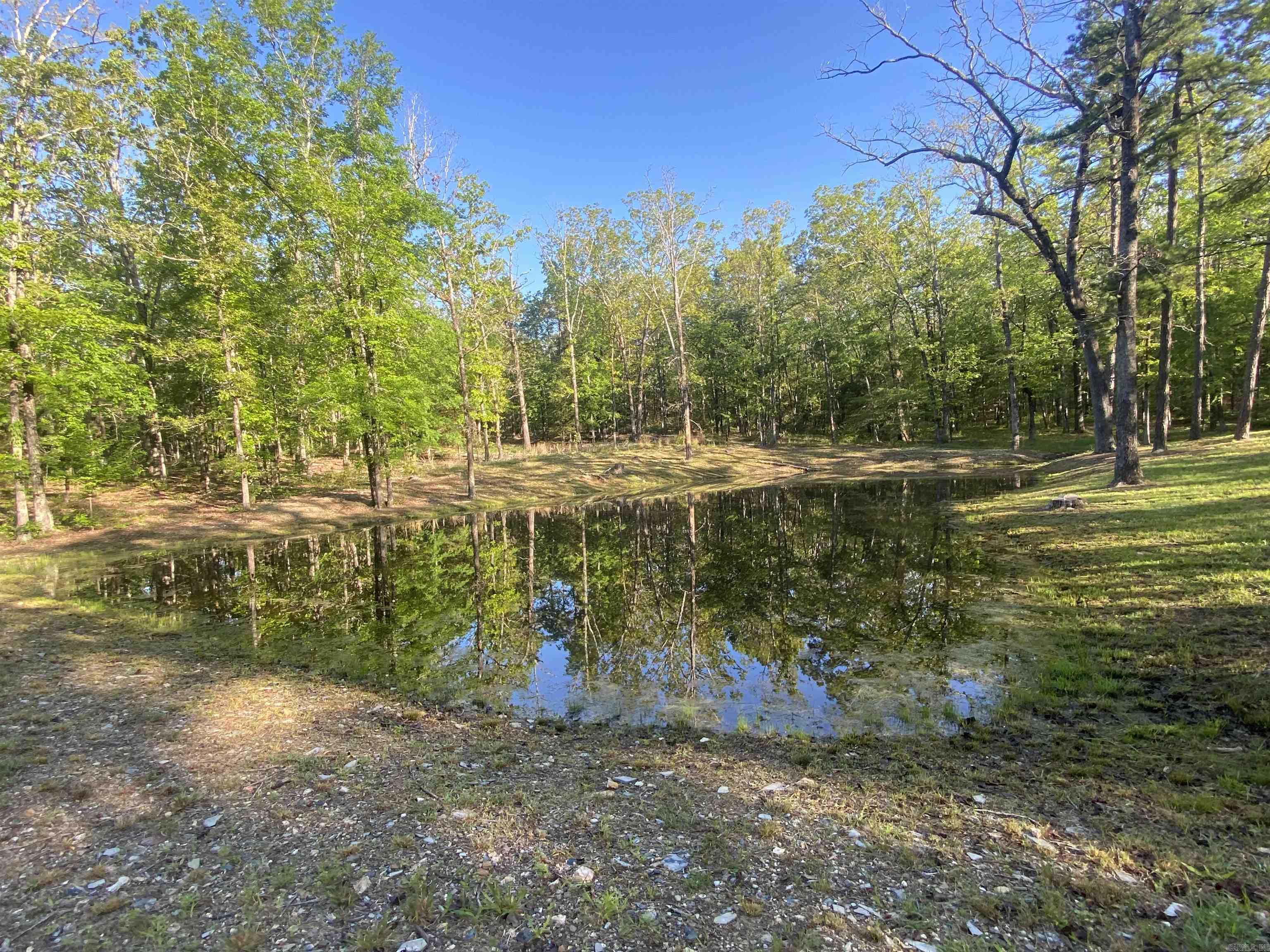 59 Easy Street Mount Ida, AR 71957
