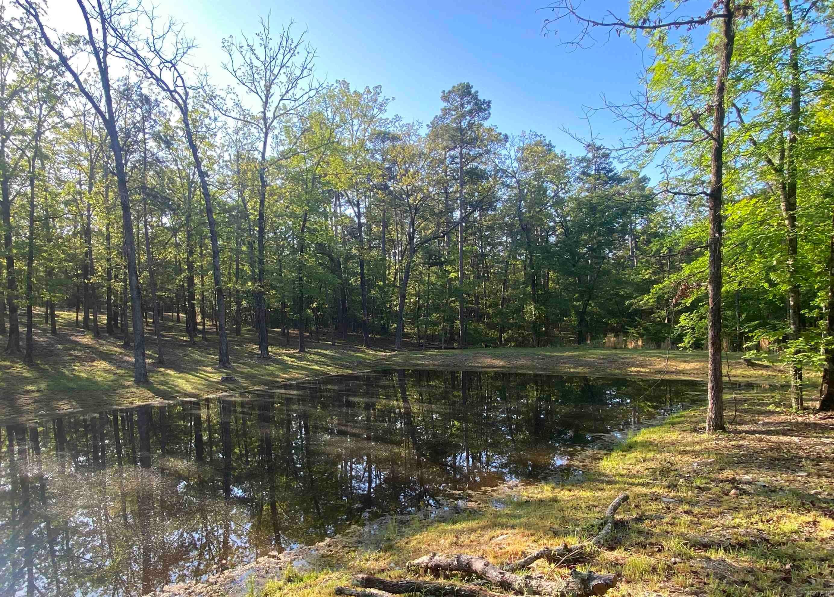 59 Easy Street Mount Ida, AR 71957