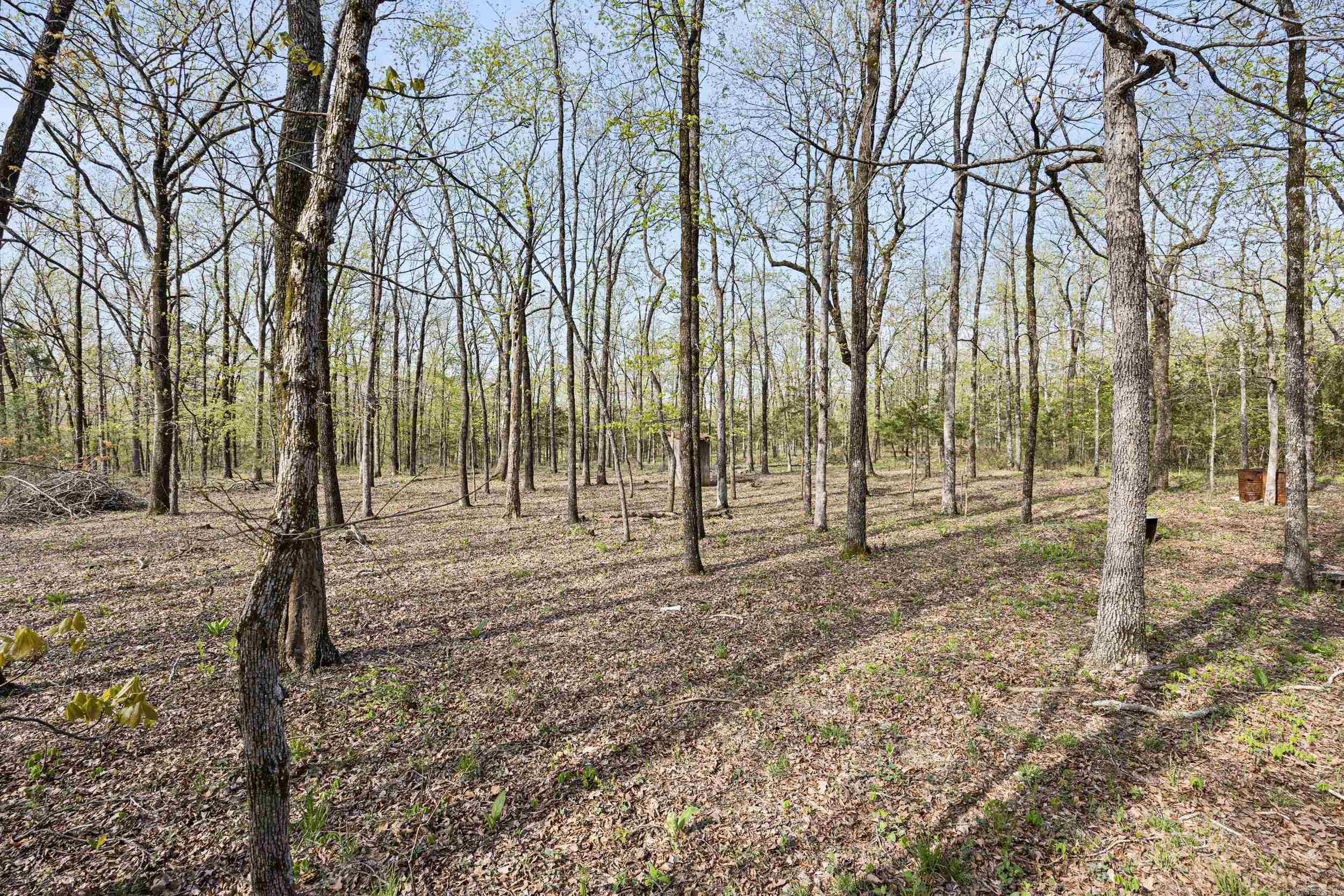 4578  Dabney  Jerusalem, AR