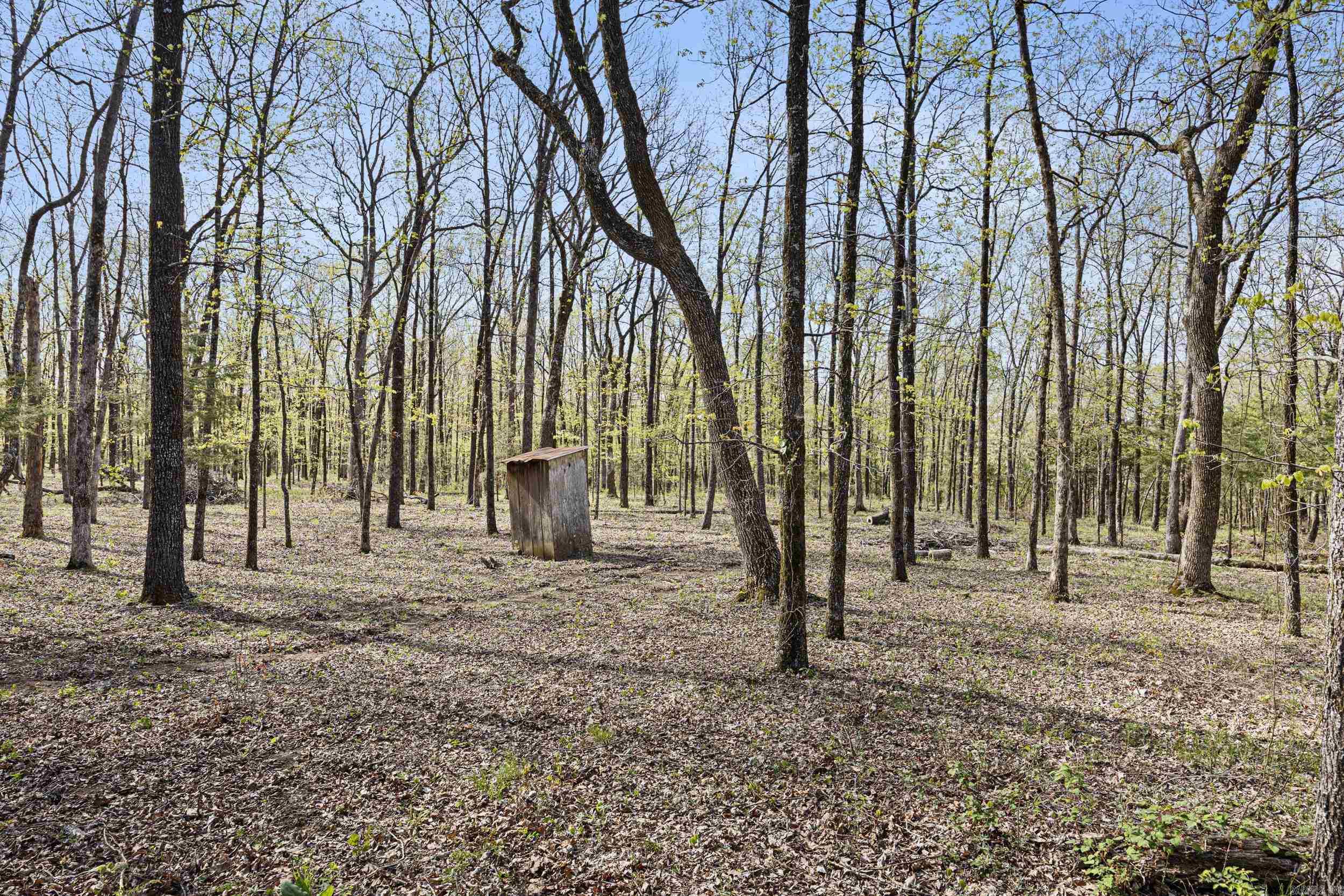 4578  Dabney  Jerusalem, AR
