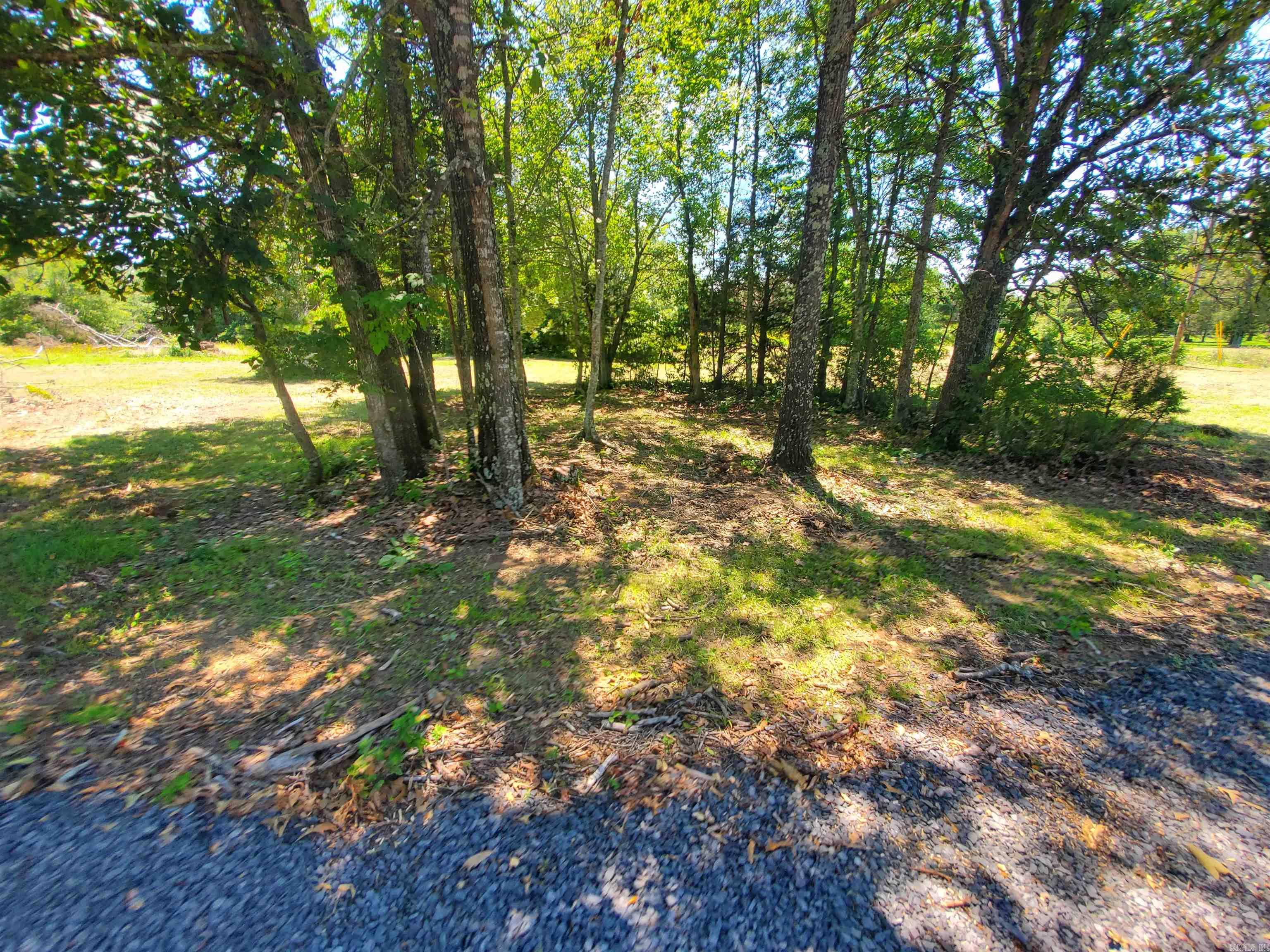 8798  Holly Mountain Rd.  Clinton, AR
