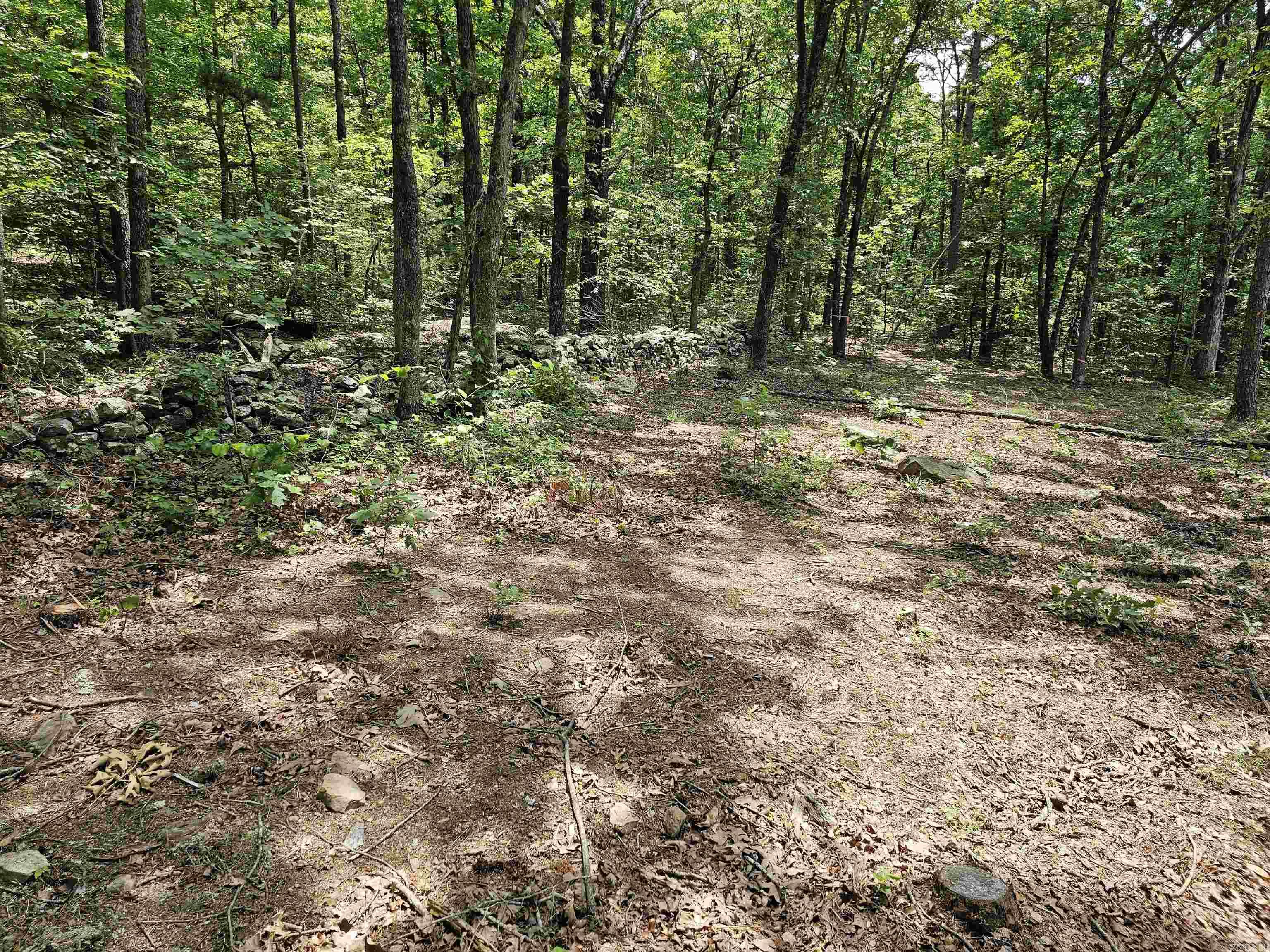 8798  Holly Mountain Rd.  Clinton, AR