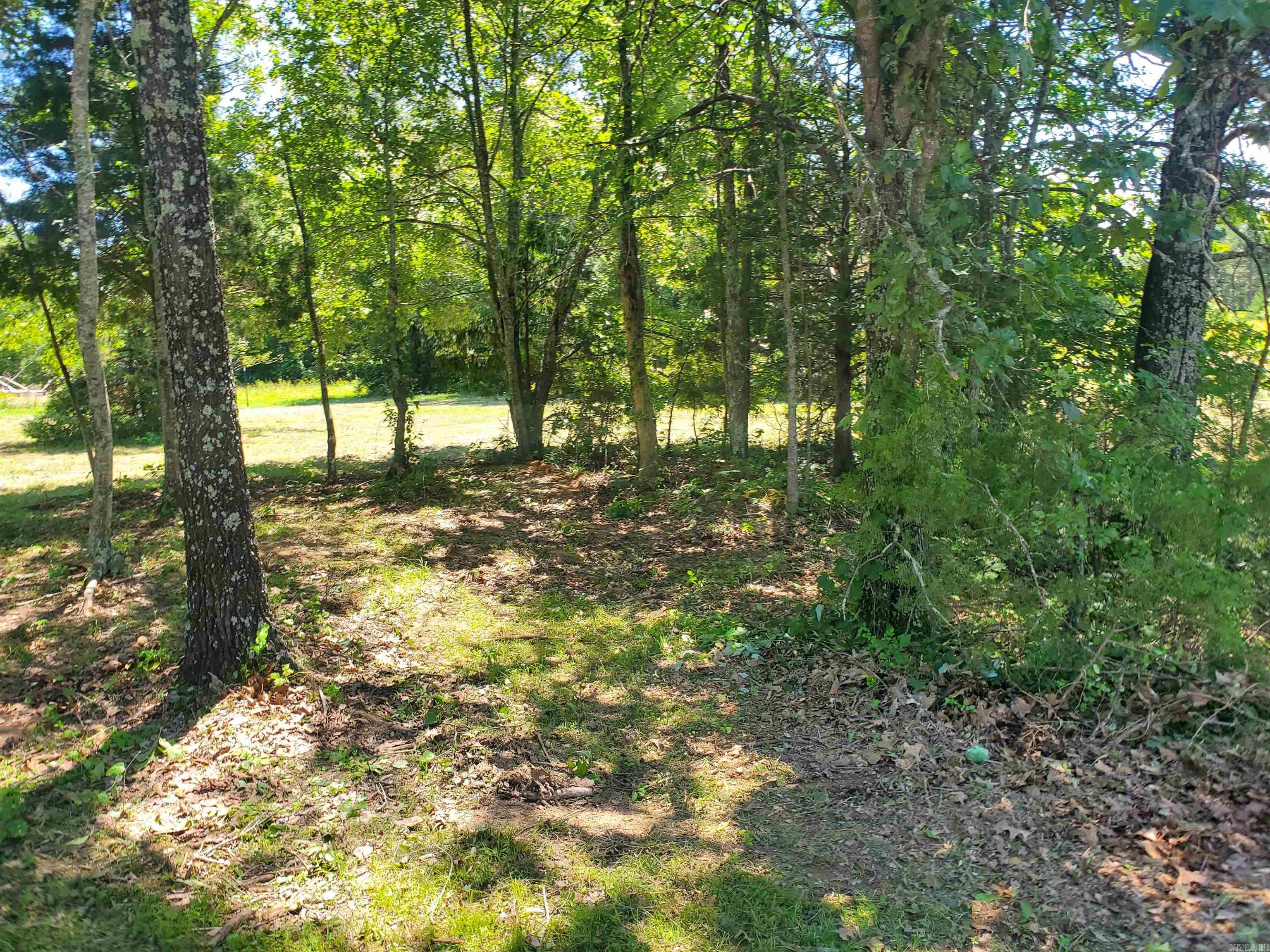 8798  Holly Mountain Rd.  Clinton, AR
