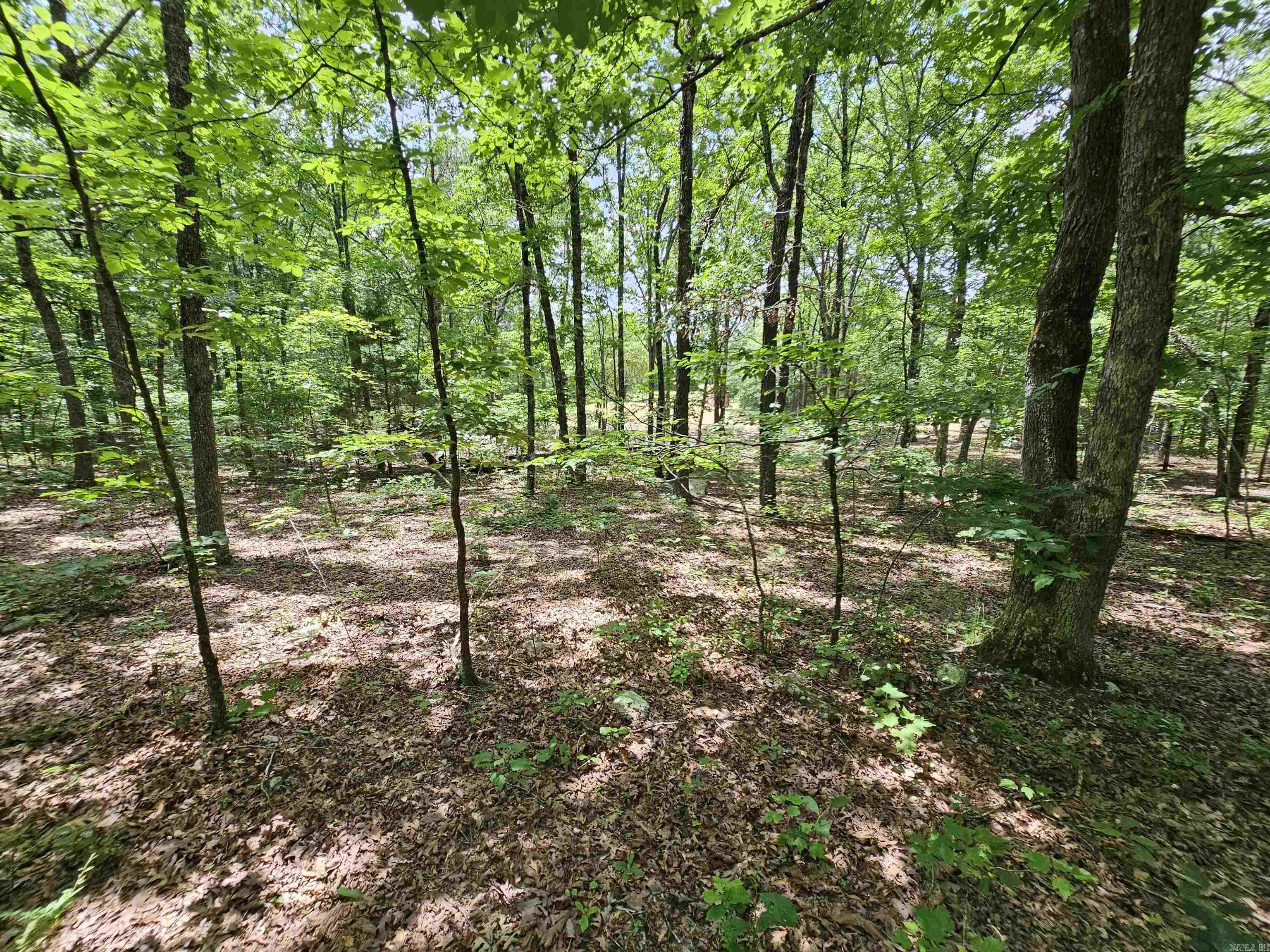 8798  Holly Mountain Rd.  Clinton, AR
