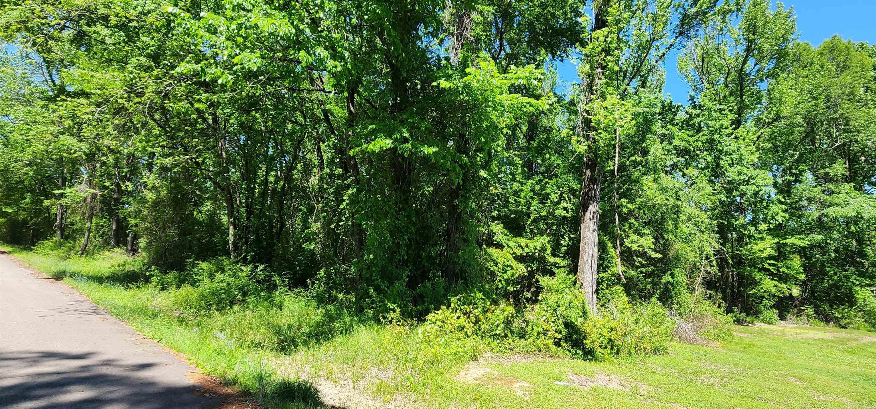 TBD Lot 4 E 47th  Russellville, AR