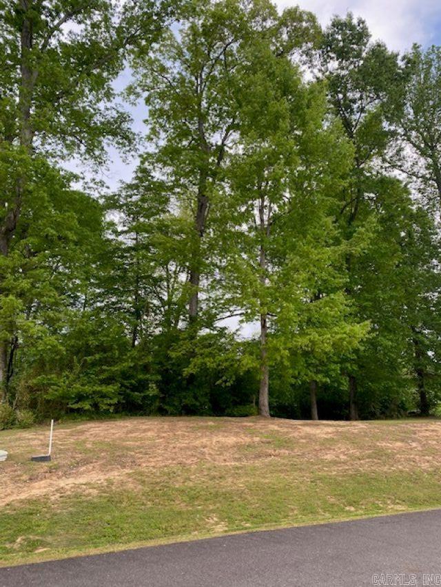 Lots 29 & 30  Riverview  Heber Springs, AR