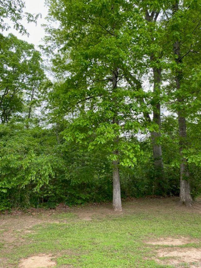 Lots 29 & 30  Riverview  Heber Springs, AR