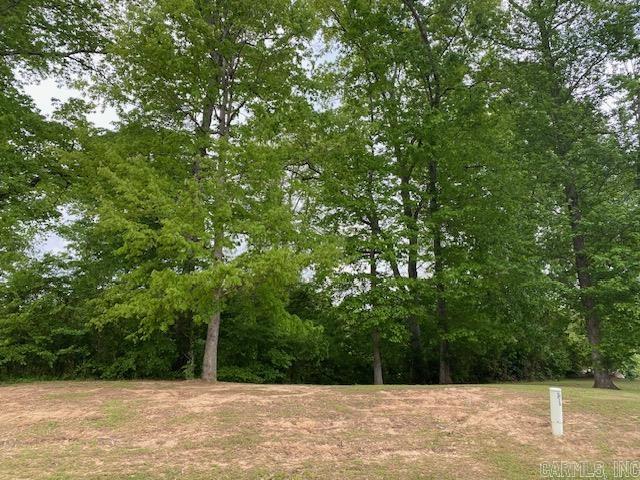 Lots 29 & 30  Riverview  Heber Springs, AR