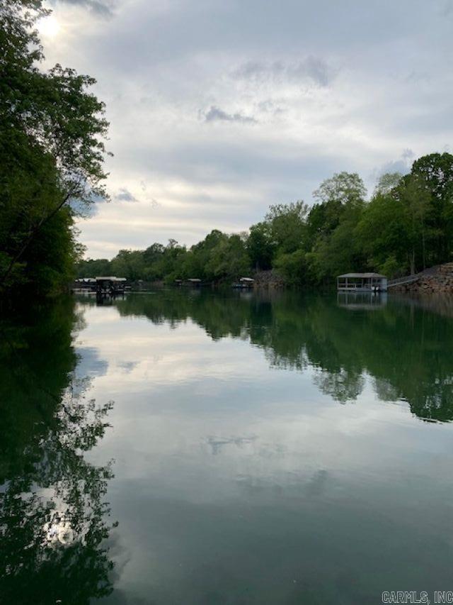 Lots 29 & 30  Riverview  Heber Springs, AR