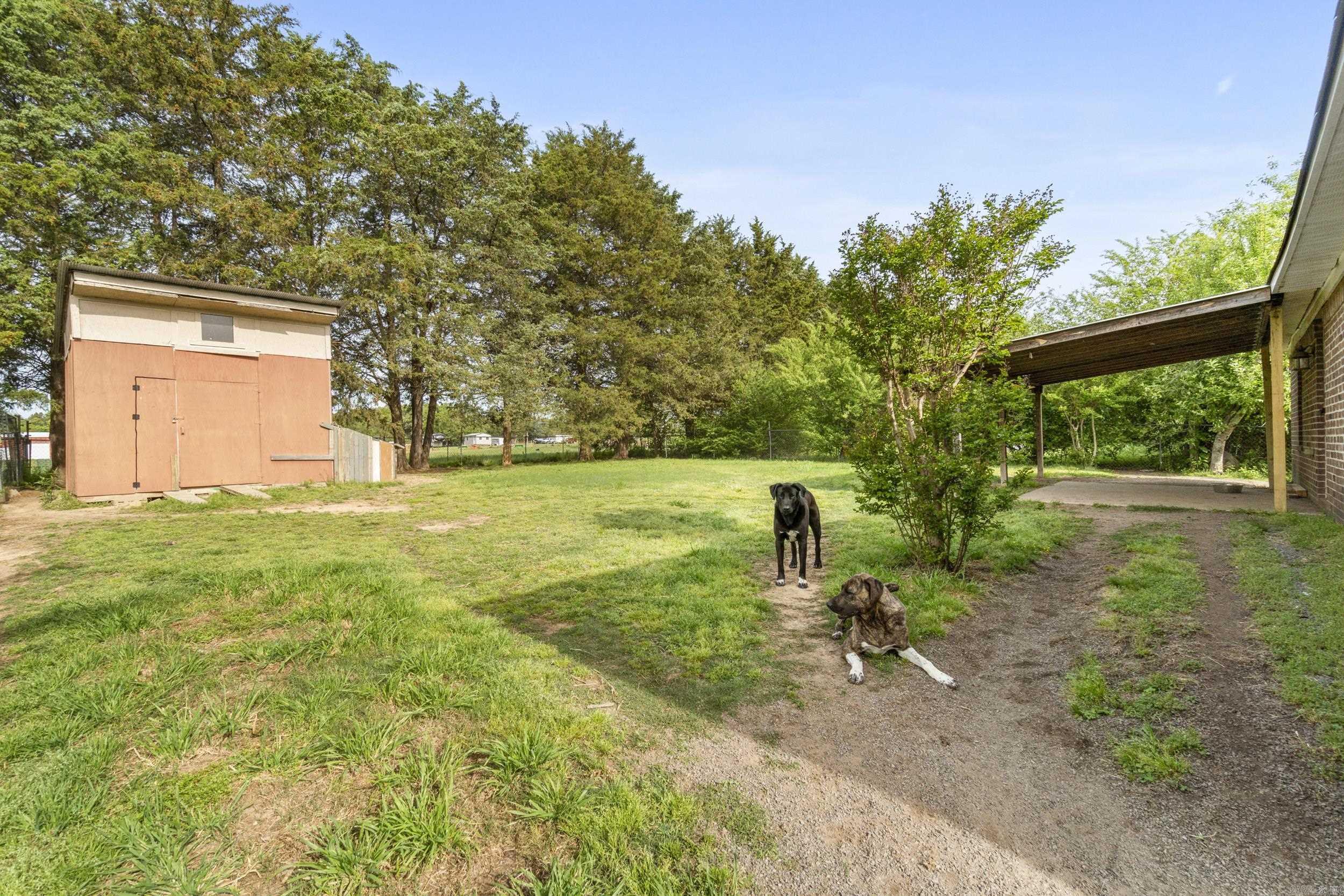 108  Rambler  Rose Bud, AR