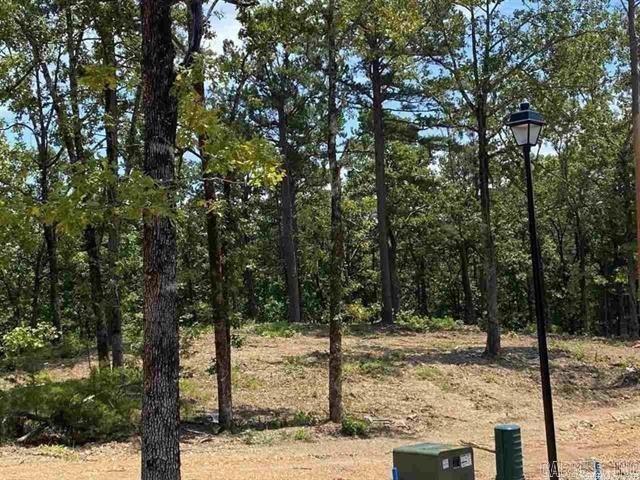 3910  Orchard Heights Drive  Conway, AR
