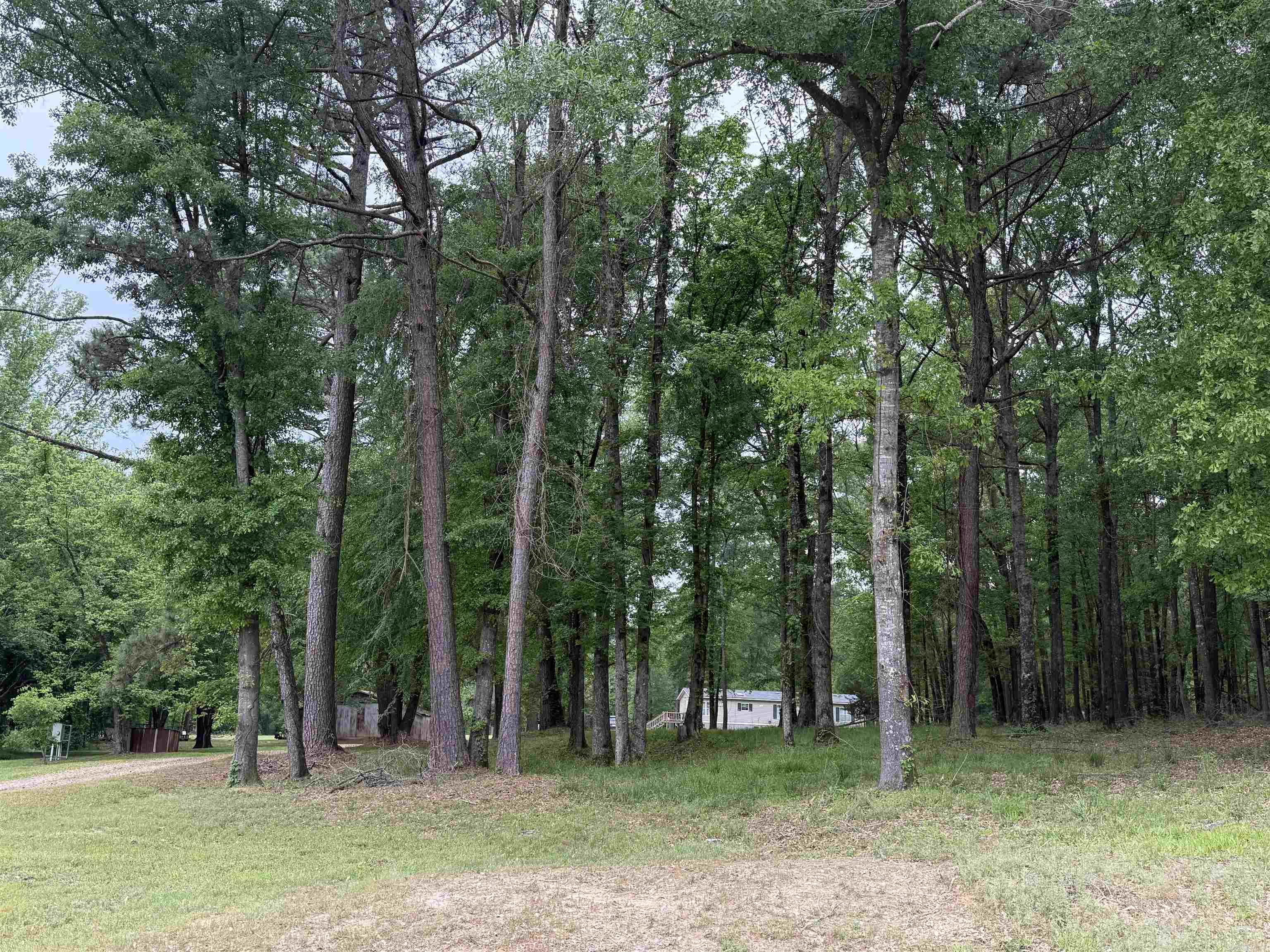 300  Sand Hill Road  Nashville, AR