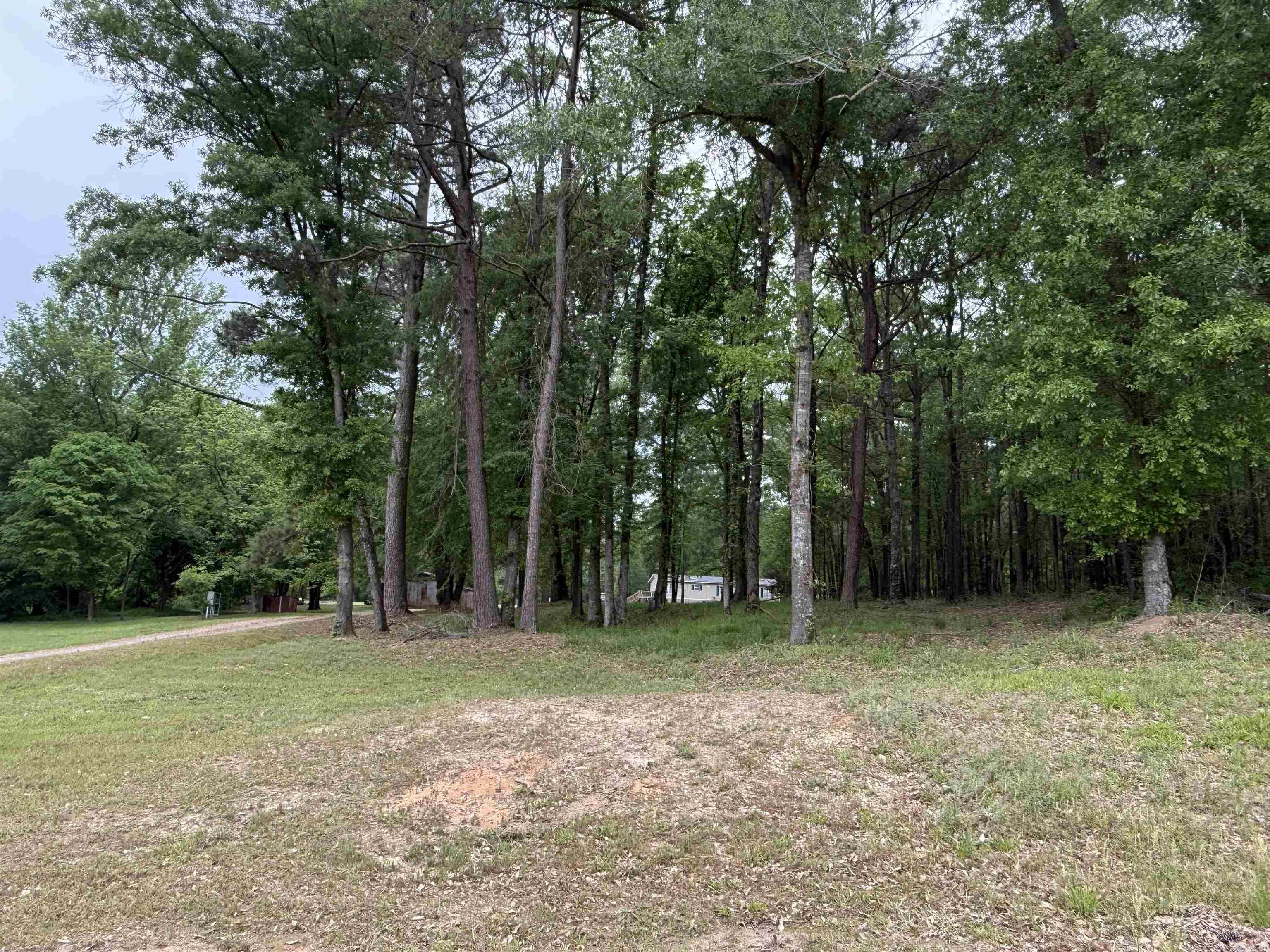 300  Sand Hill Road  Nashville, AR