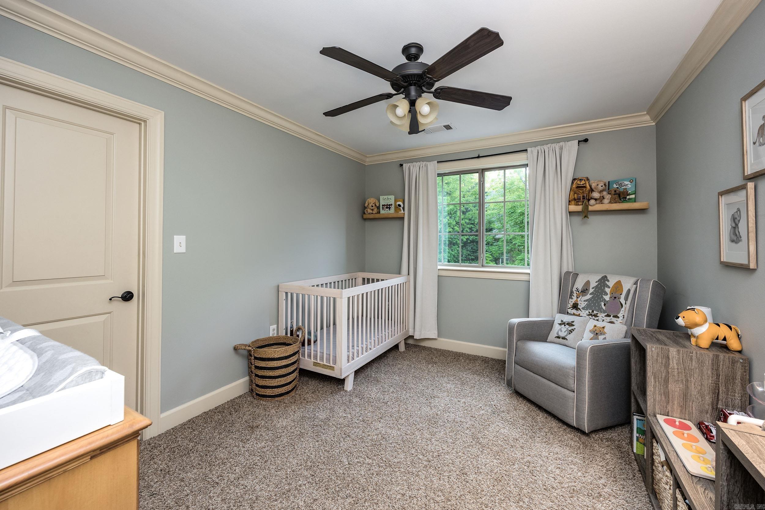 4  Oxeye  Little Rock, AR