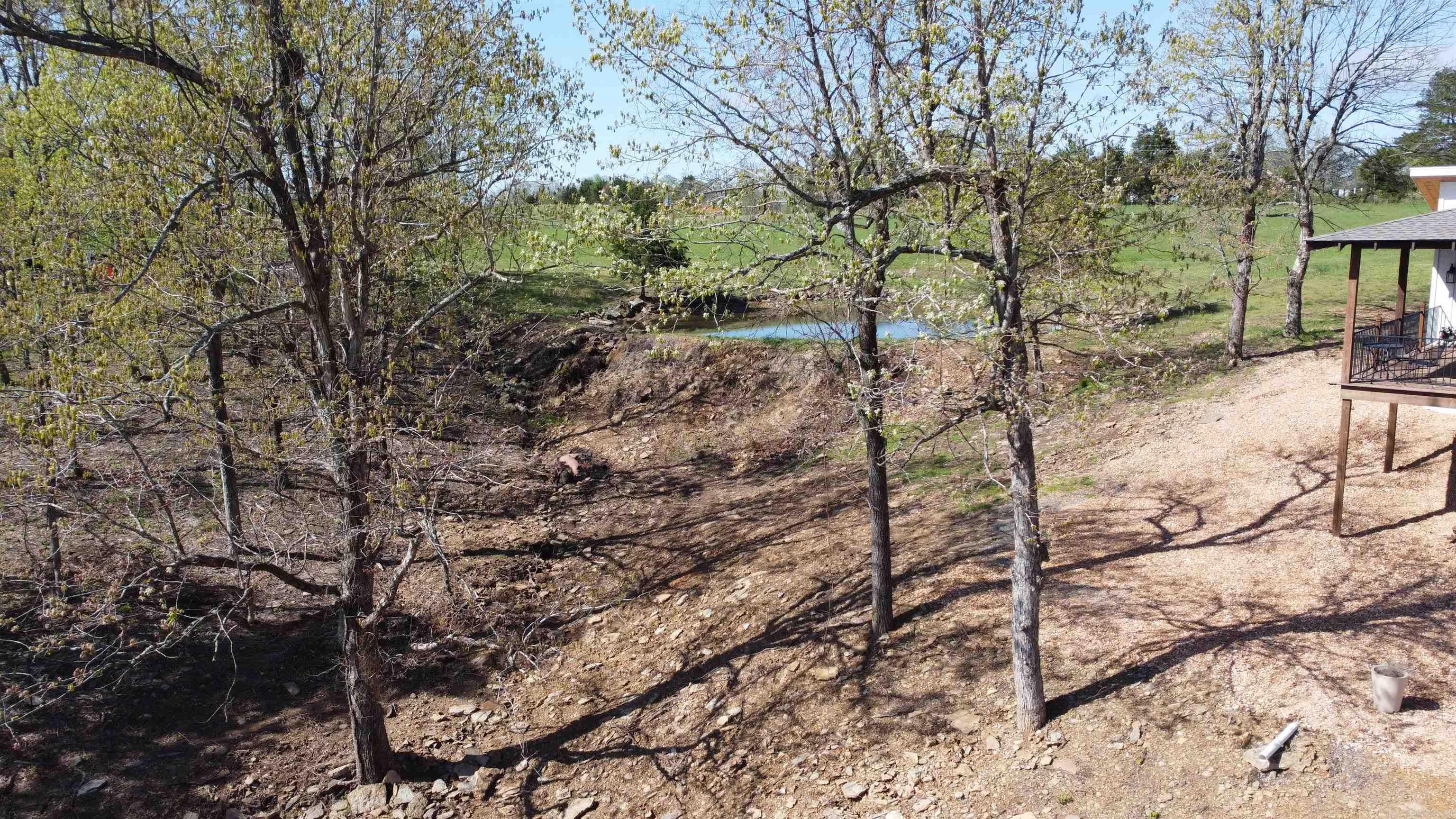 918  Bowith Hollow Road  Marshall, AR
