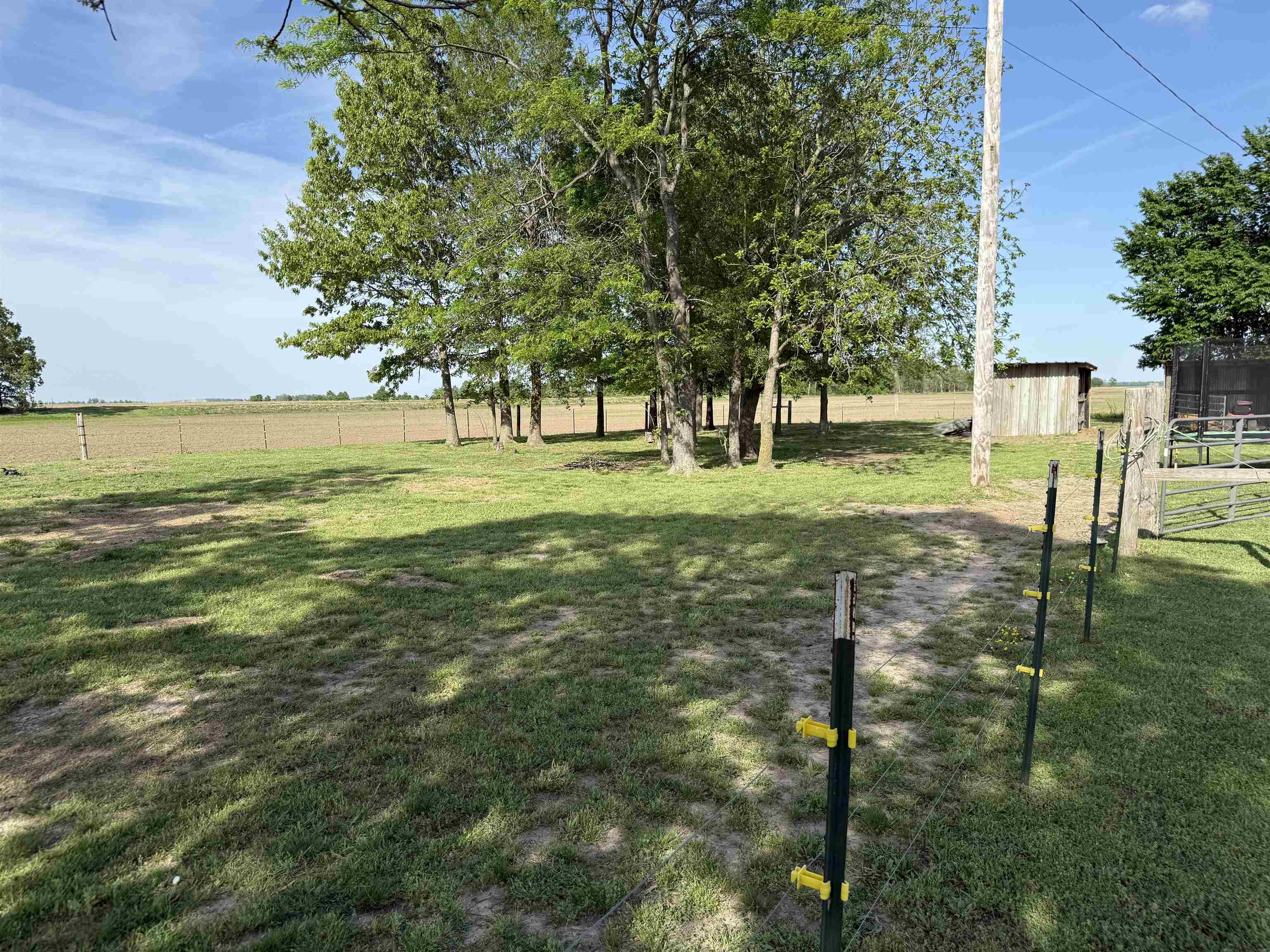 536  Highway 91  Walnut Ridge, AR