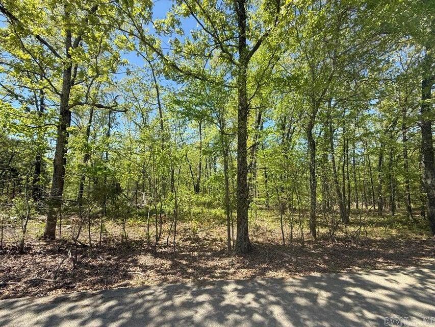 0  River Ridge  Rosie, AR