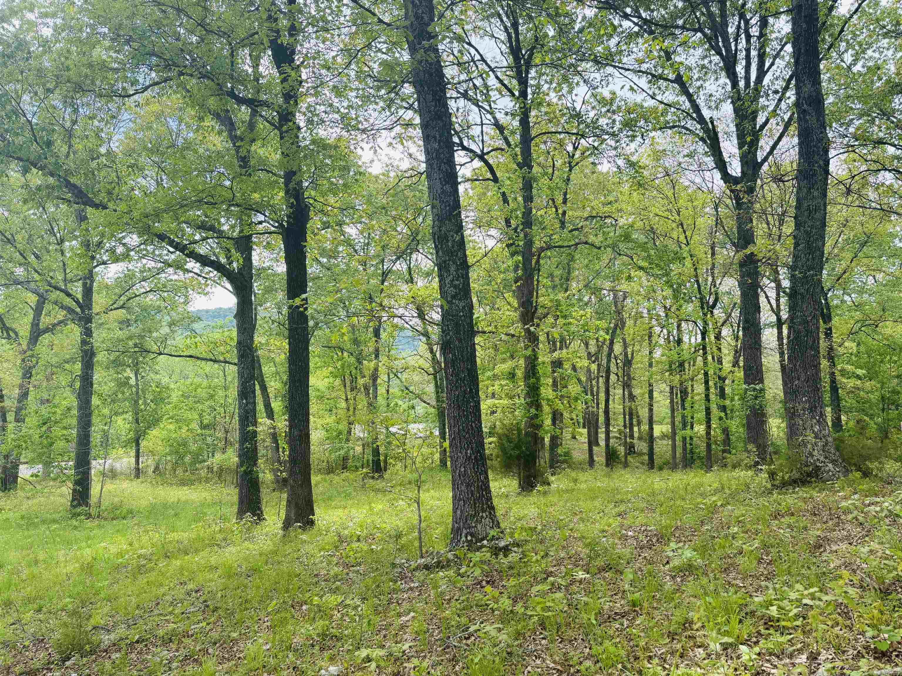Lot 31 & 32  (White River Valley 4) Cougar  Mountain Home, AR