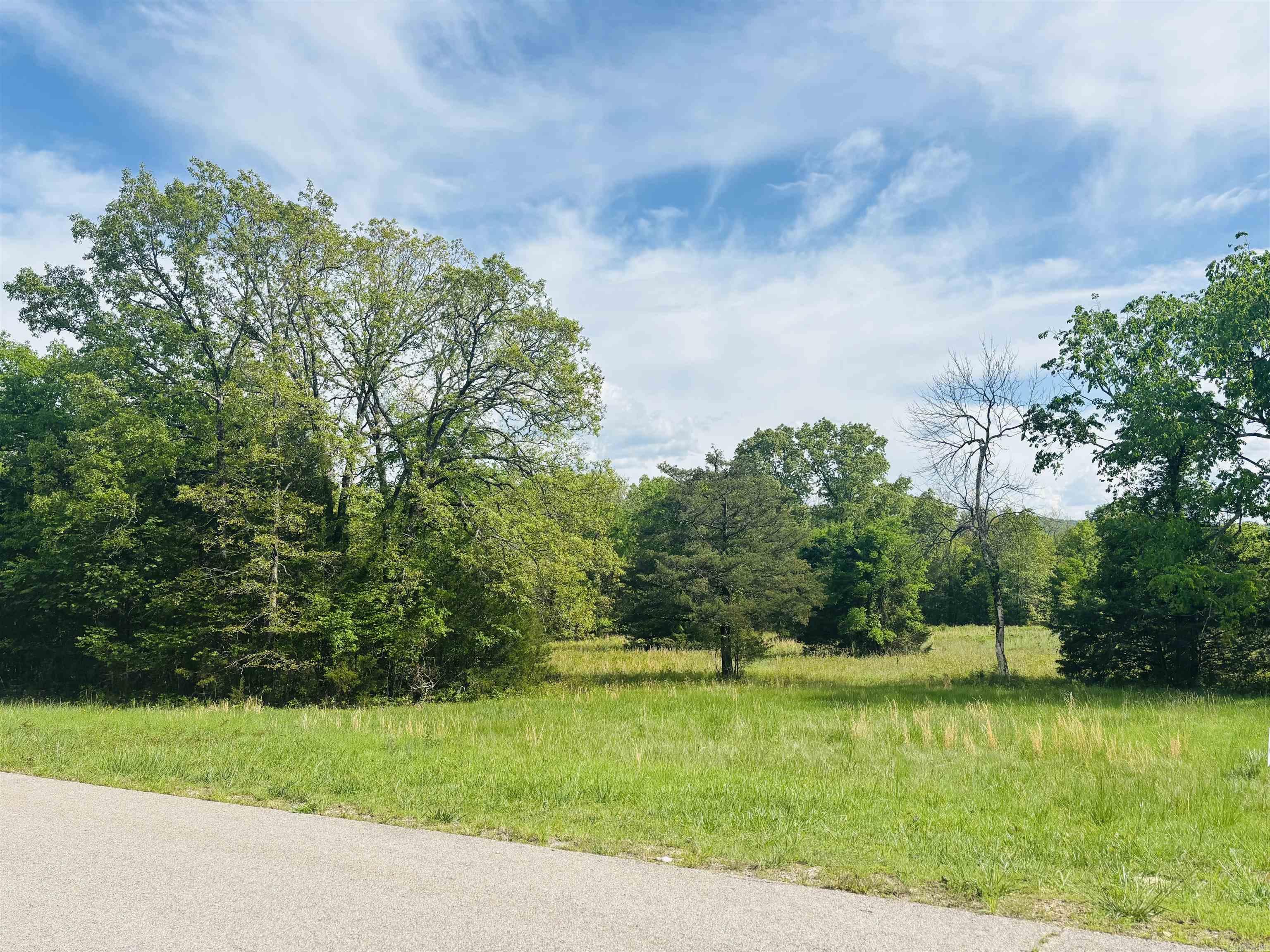 Lot 31 & 32  (White River Valley 4) Cougar  Mountain Home, AR