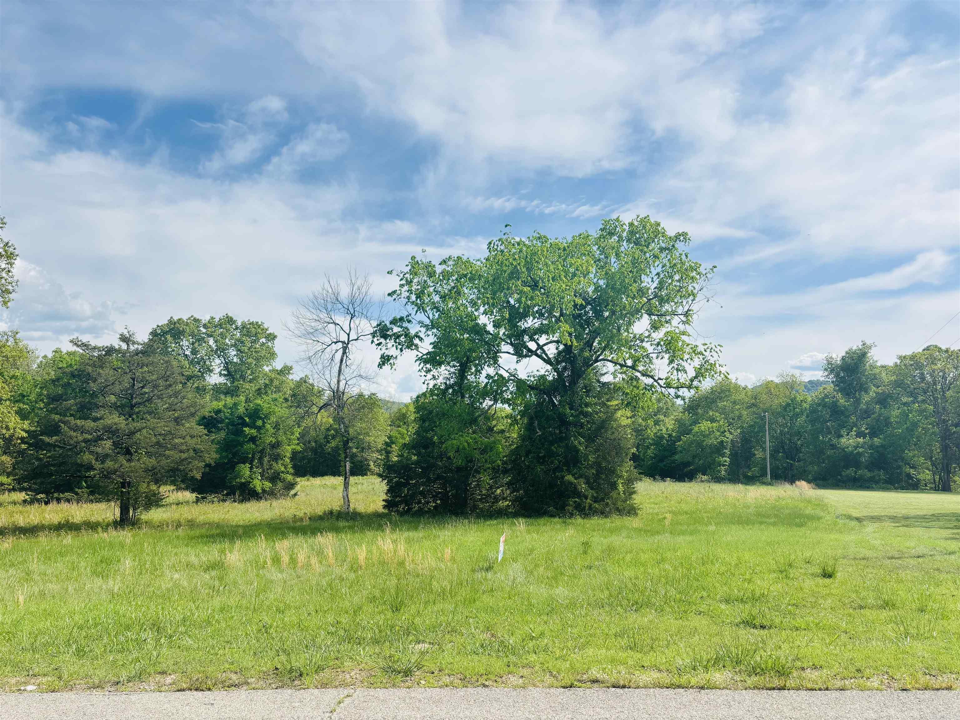 Lot 31 & 32  (White River Valley 4) Cougar  Mountain Home, AR