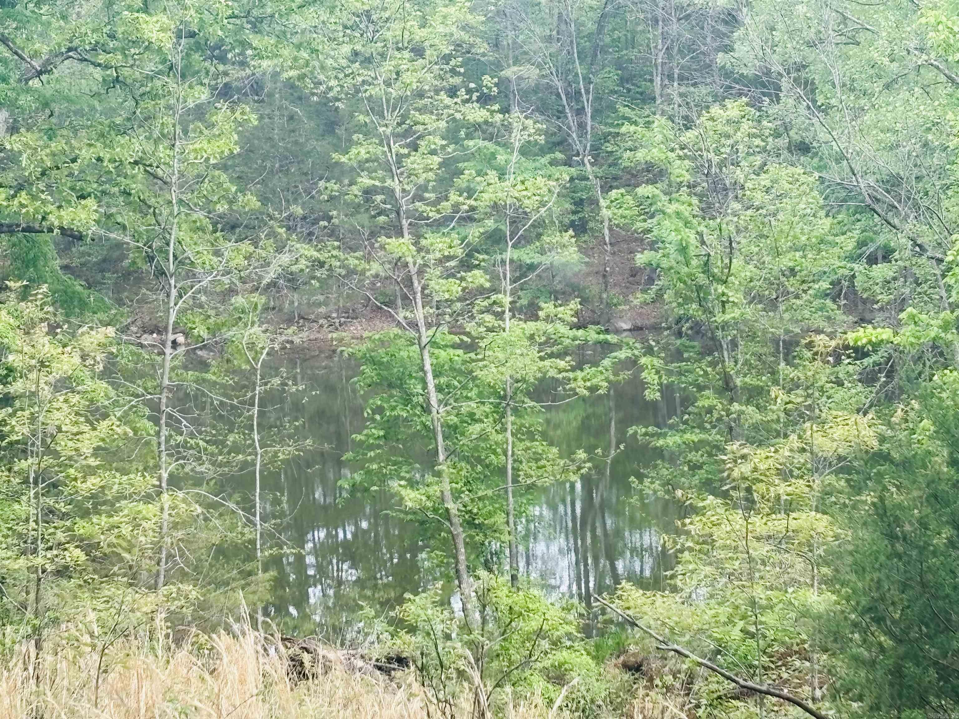 Lot 31 & 32  (White River Valley 4) Cougar  Mountain Home, AR
