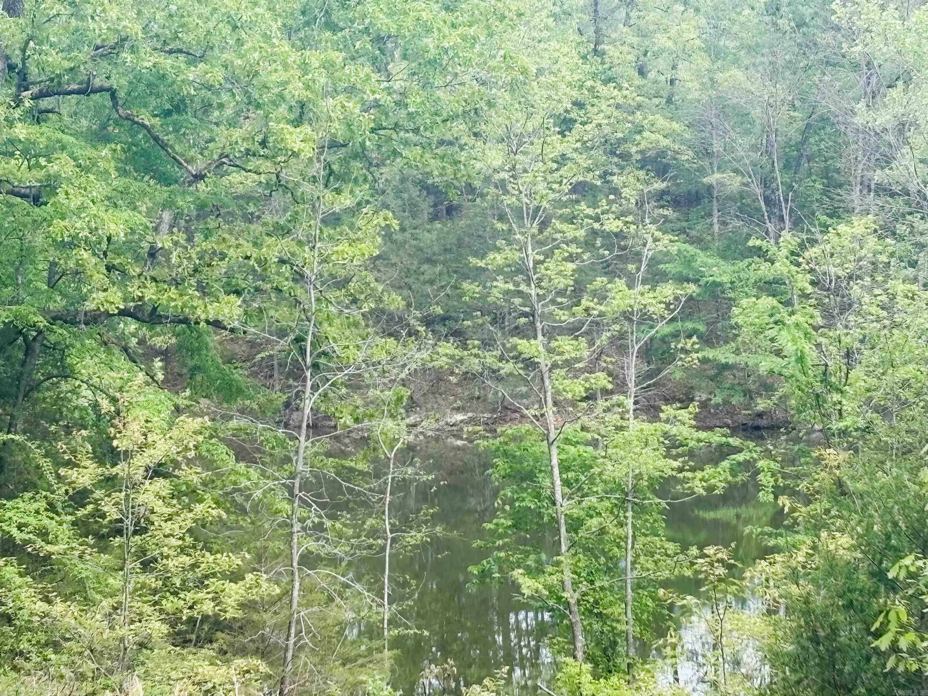 Lot 31 & 32  (White River Valley 4) Cougar  Mountain Home, AR