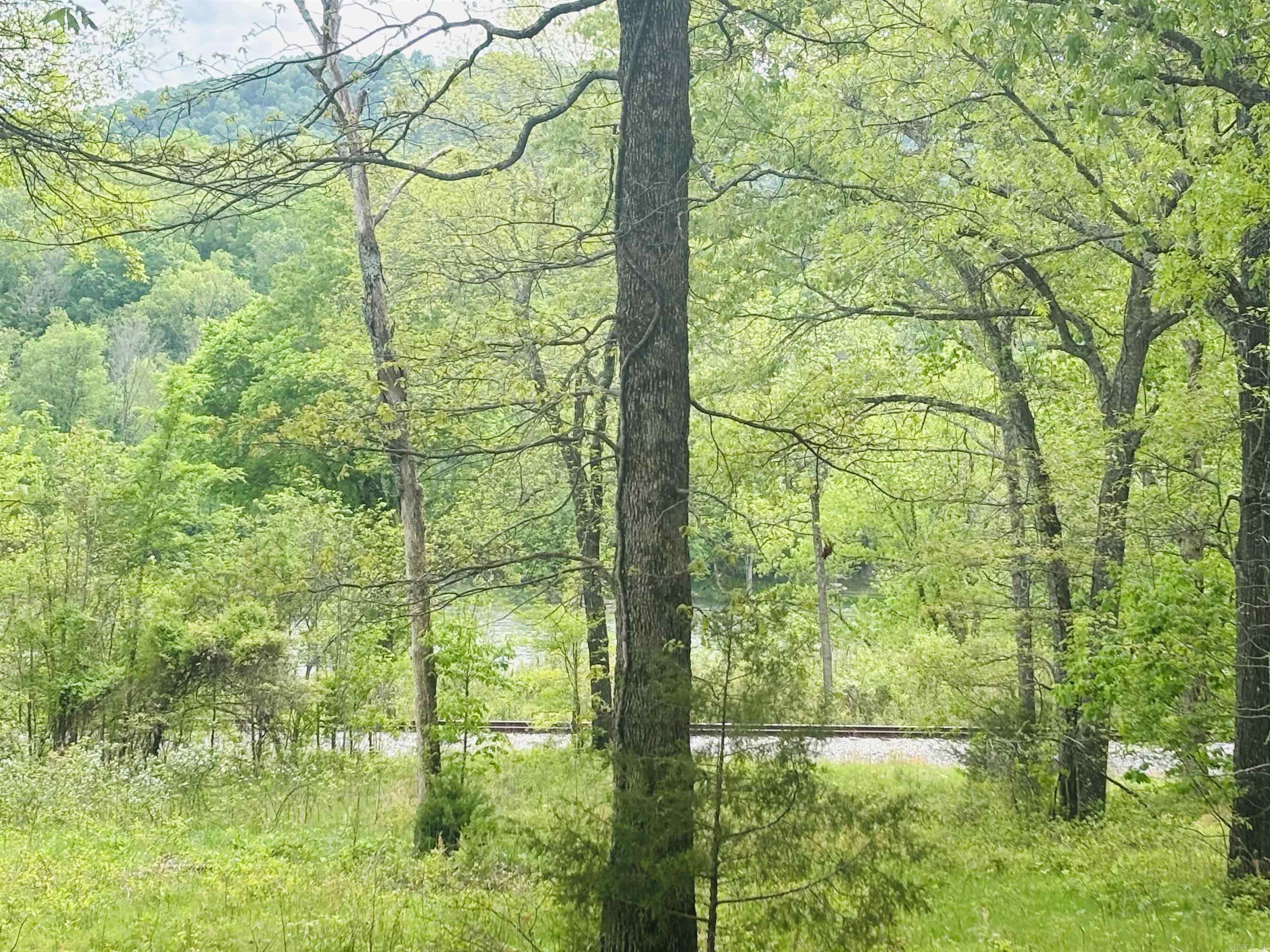 Lot 31 & 32  (White River Valley 4) Cougar  Mountain Home, AR