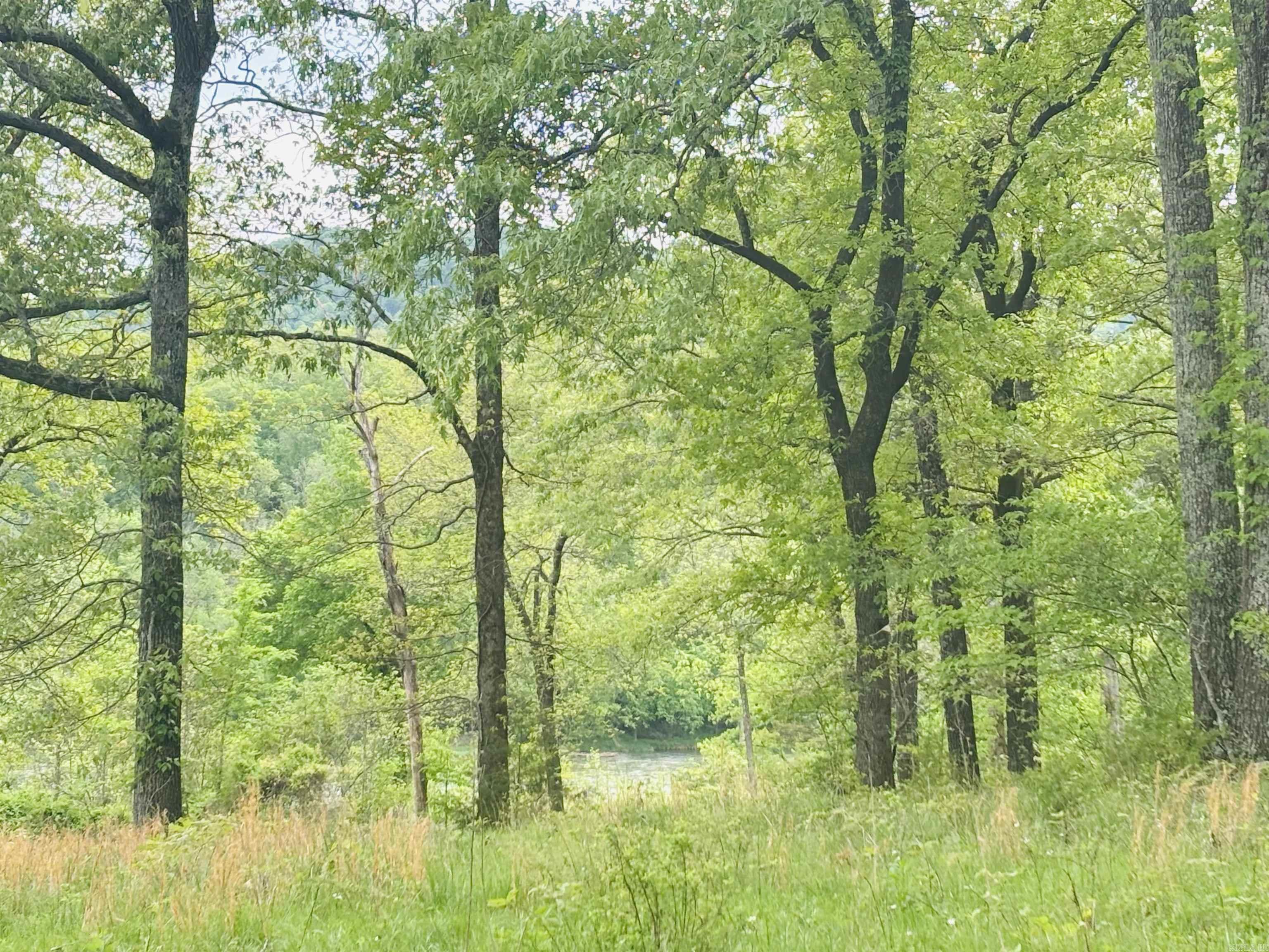 Lot 31 & 32  (White River Valley 4) Cougar  Mountain Home, AR