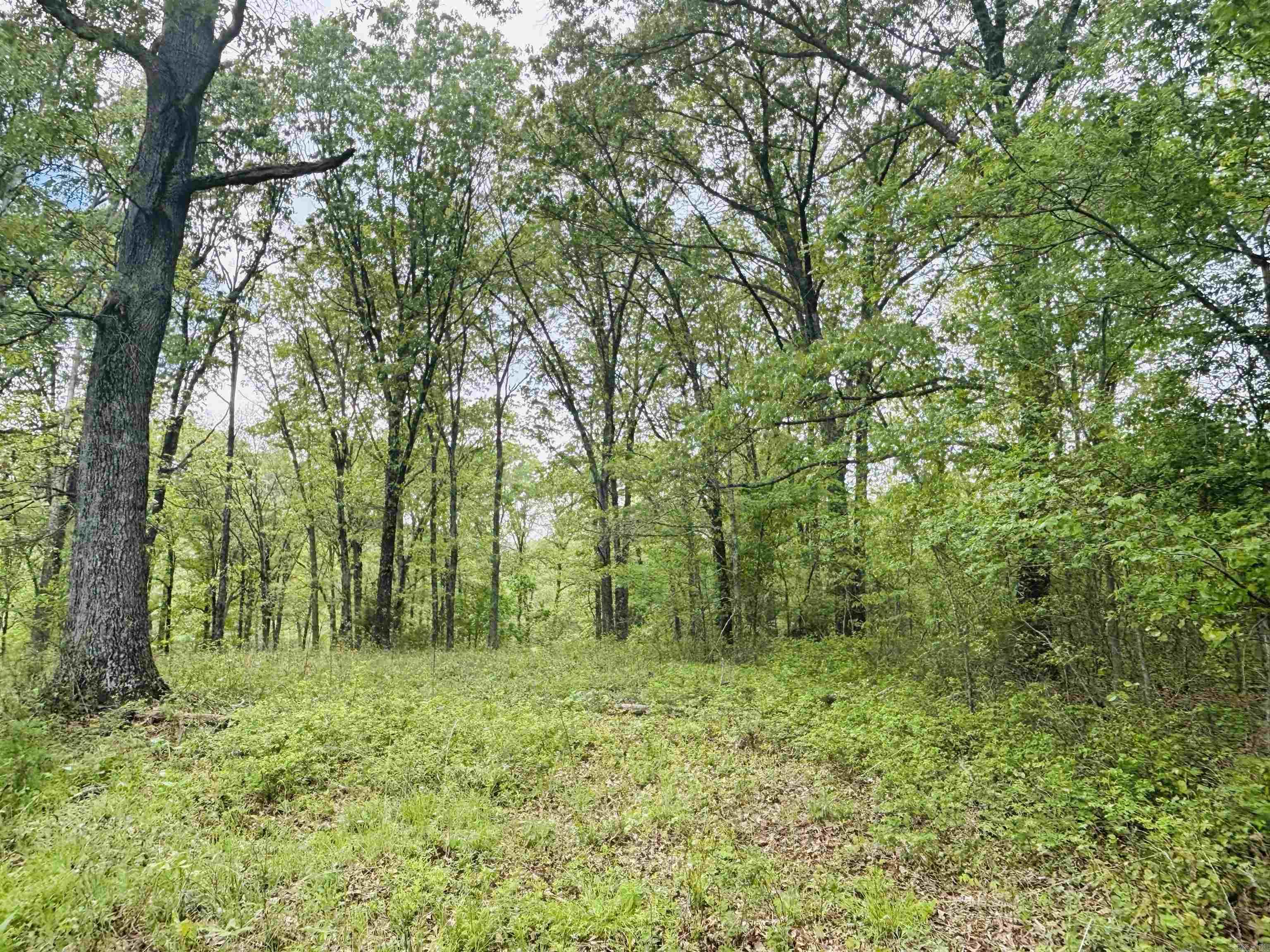 Lot 31 & 32  (White River Valley 4) Cougar  Mountain Home, AR