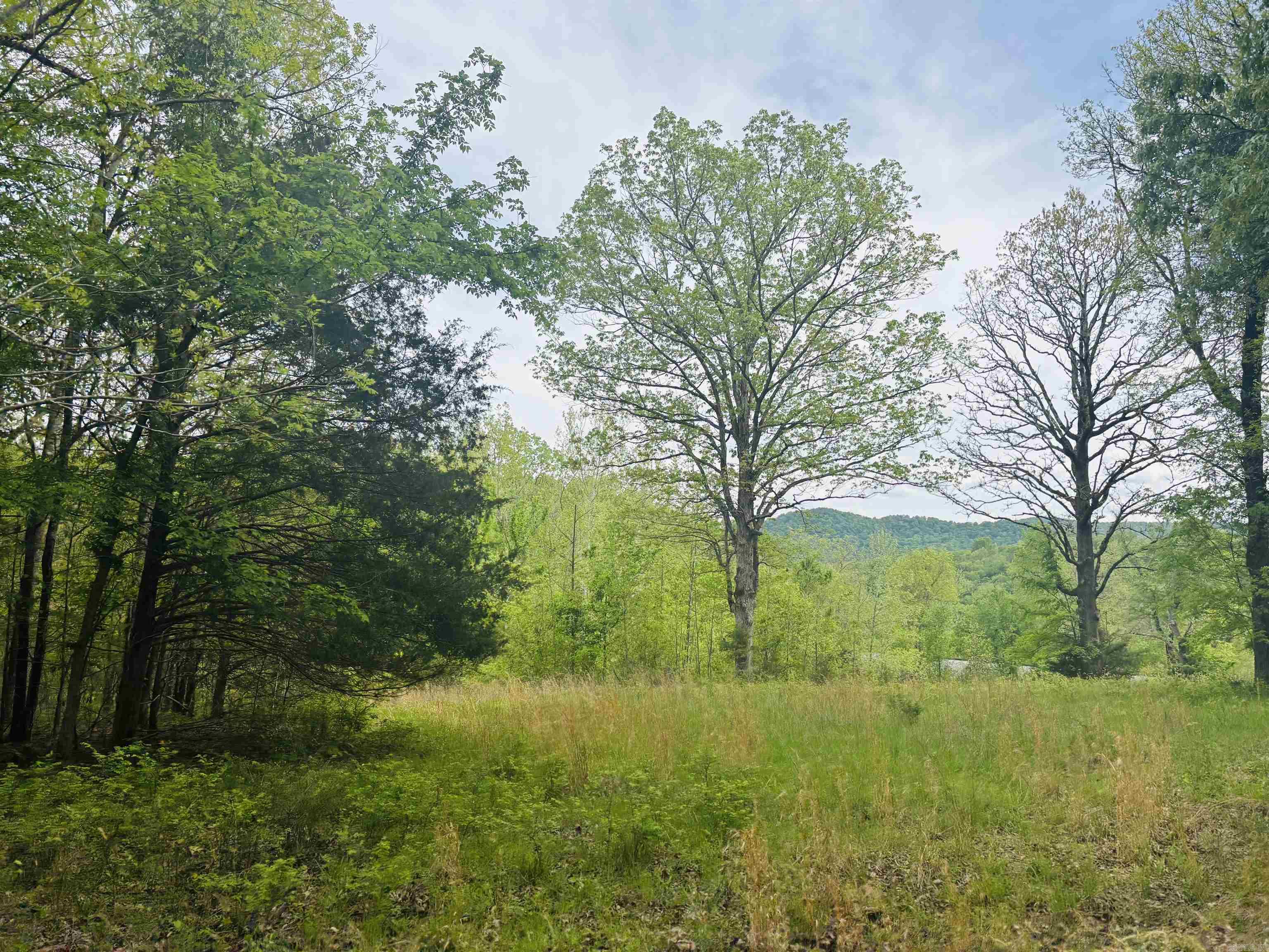 Lot 31 & 32  (White River Valley 4) Cougar  Mountain Home, AR