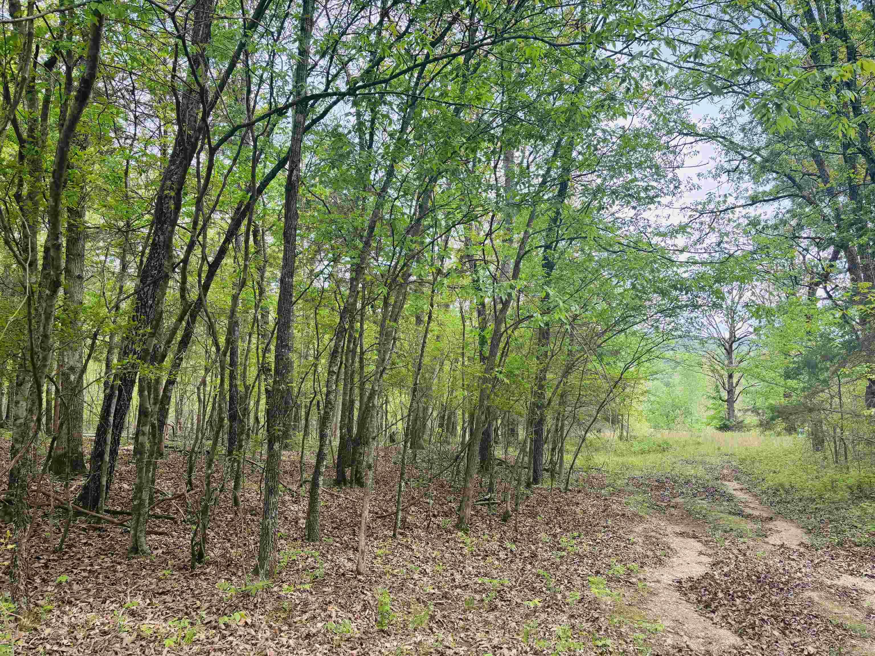 Lot 31 & 32  (White River Valley 4) Cougar  Mountain Home, AR