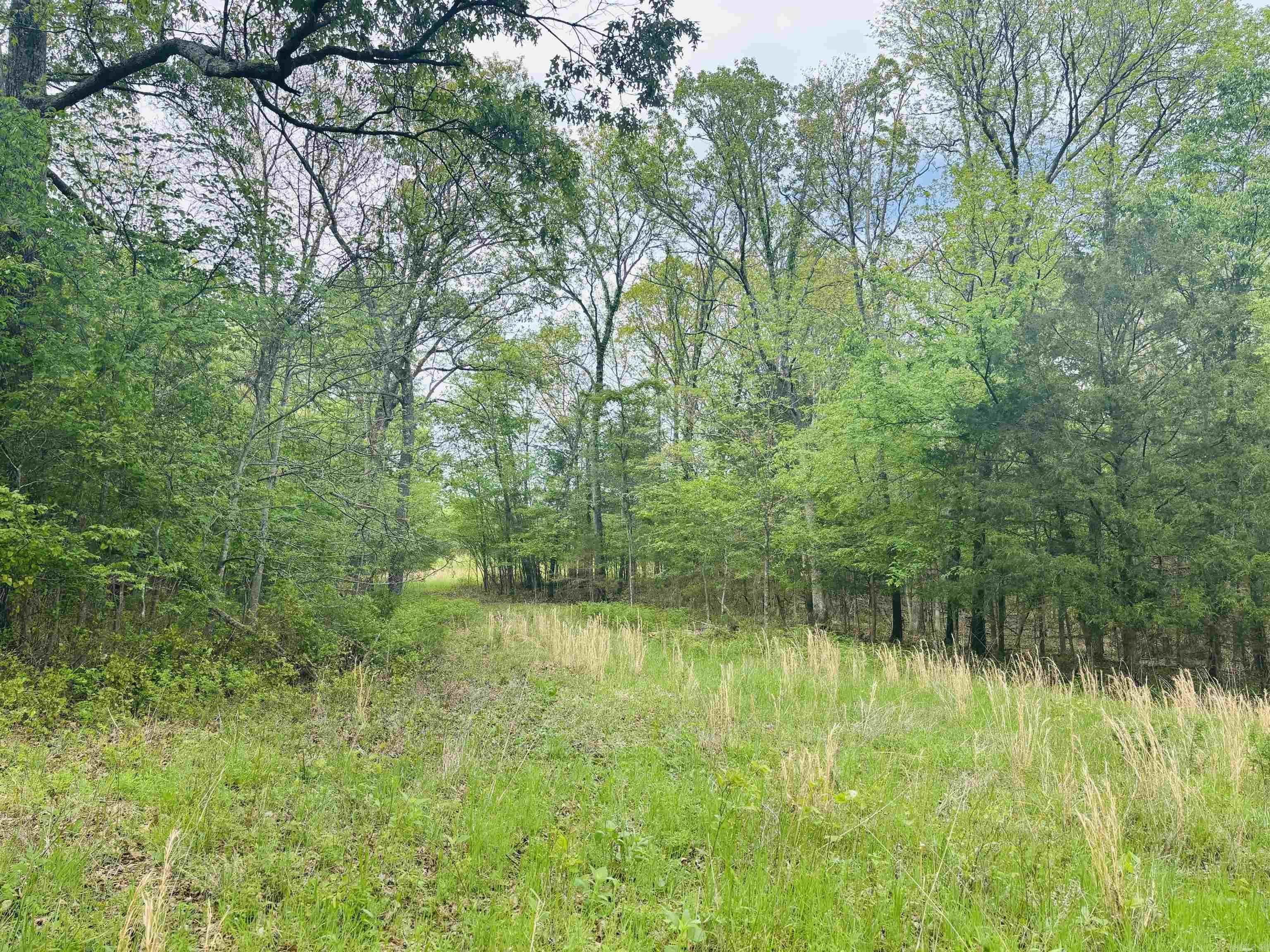 Lot 31 & 32  (White River Valley 4) Cougar  Mountain Home, AR