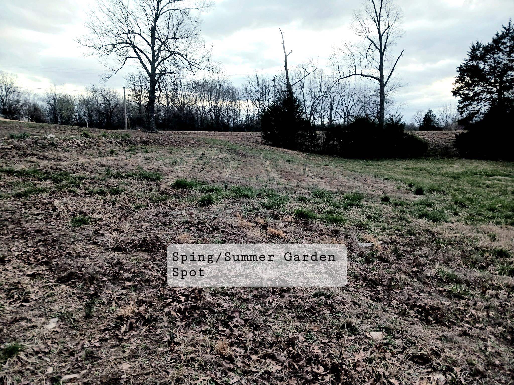 7234  Hwy 62 E  Glencoe, AR