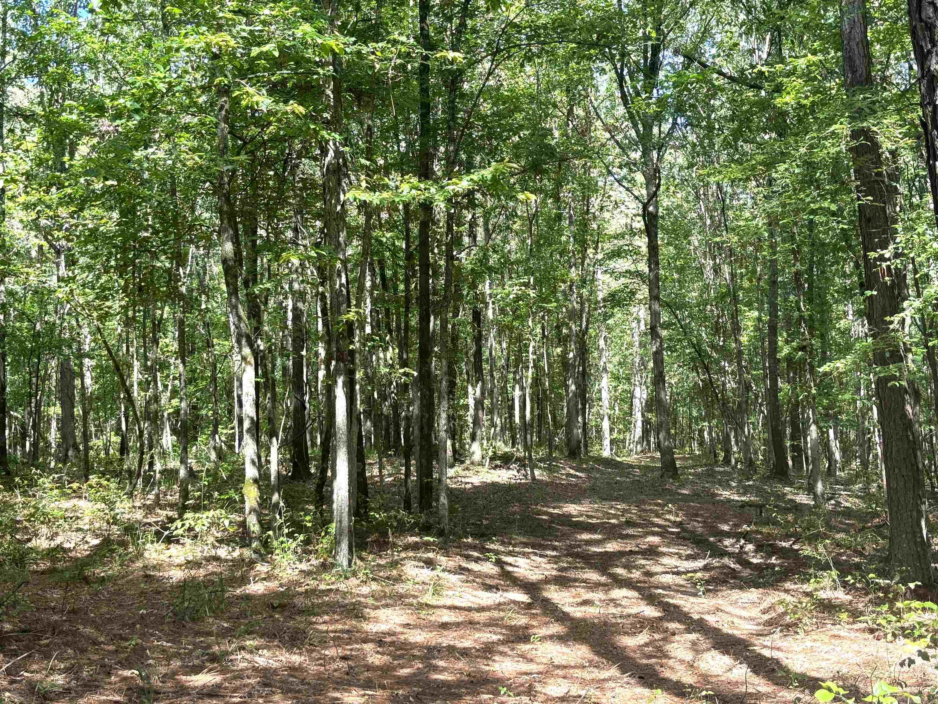 2533 Mail Route Road  Hensley, AR
