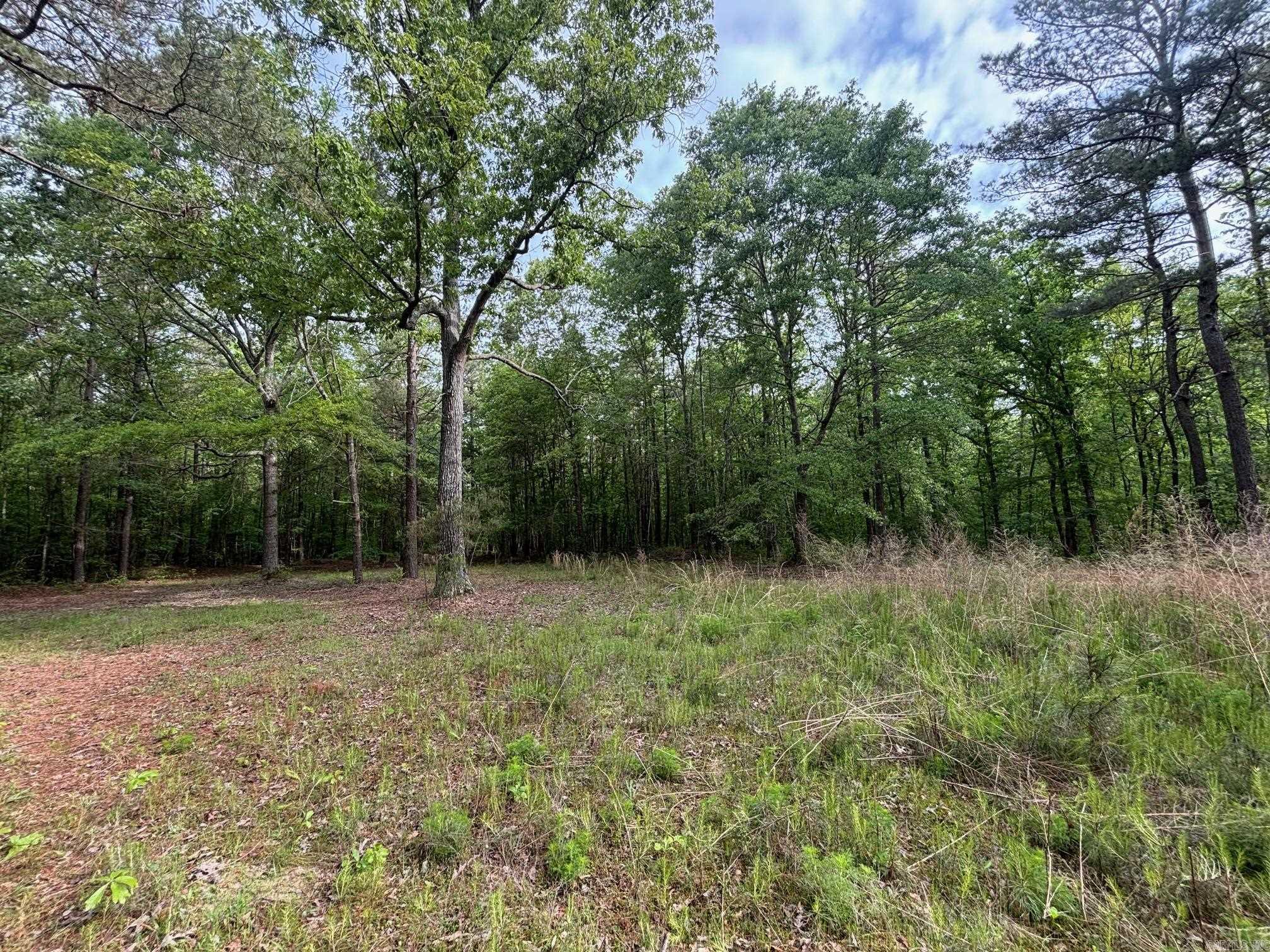2533  Mail Route Road  Hensley, AR