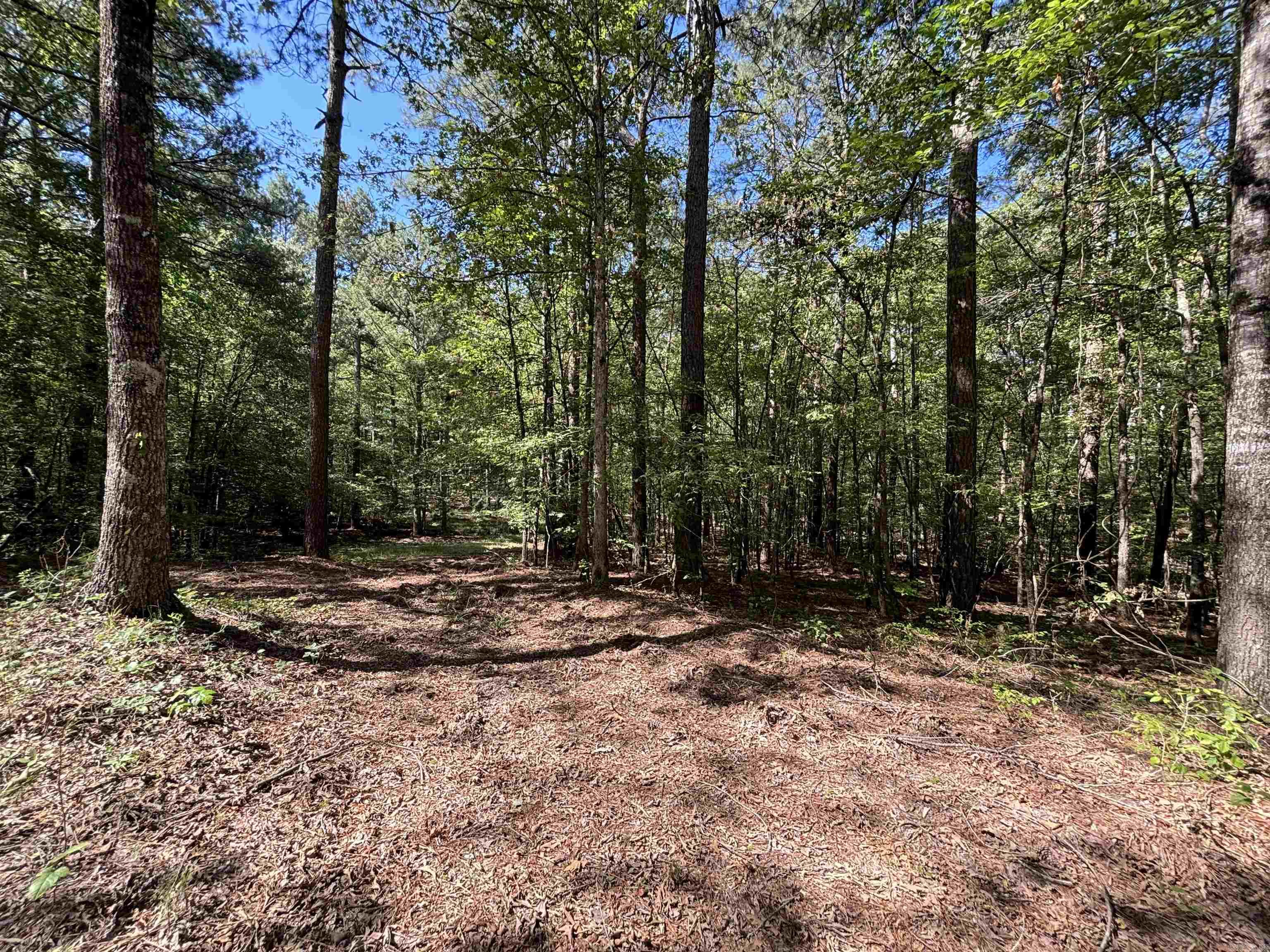 2533 Mail Route Road  Hensley, AR