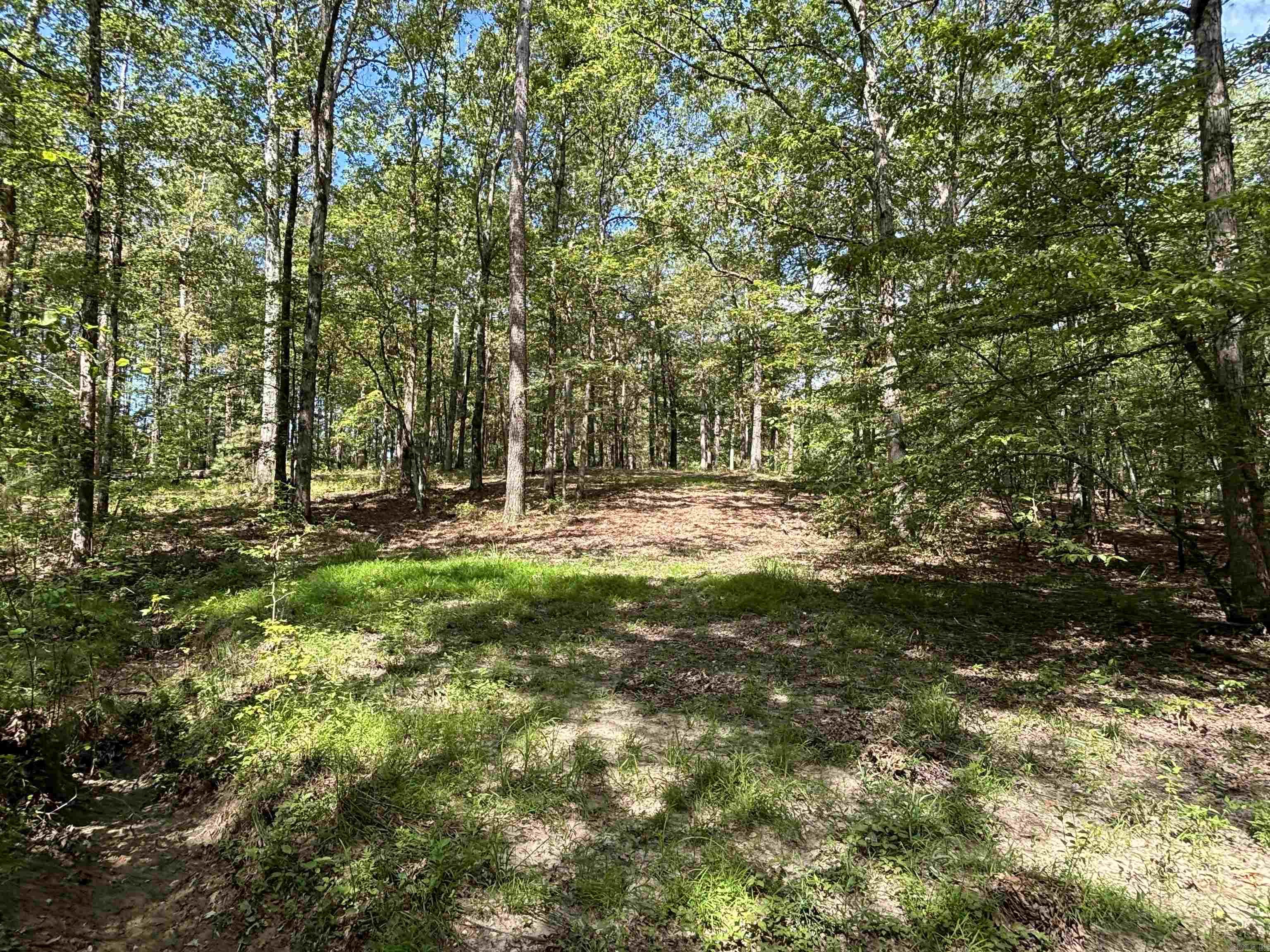 2533  Mail Route Road  Hensley, AR