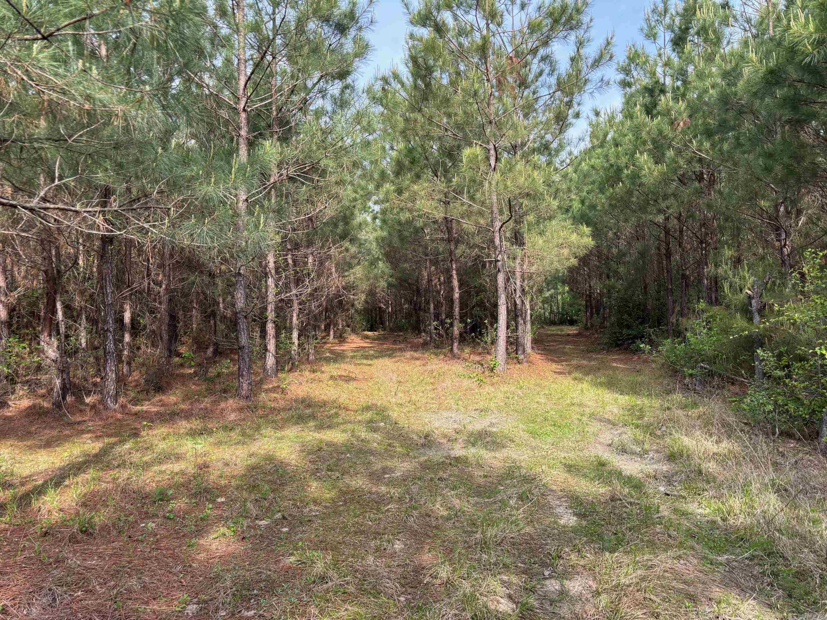 2533  Mail Route Road  Hensley, AR