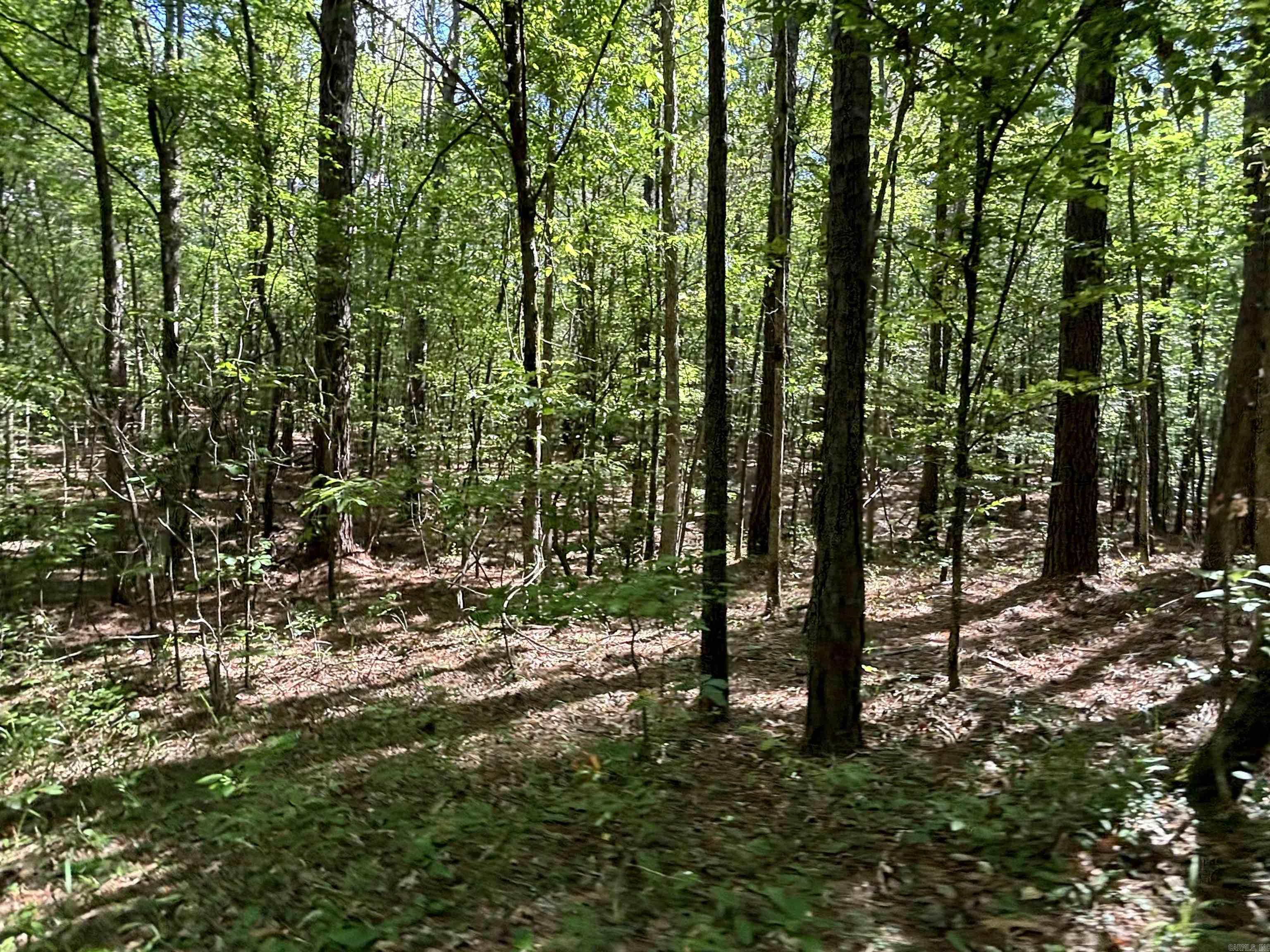 2533 Mail Route Road  Hensley, AR