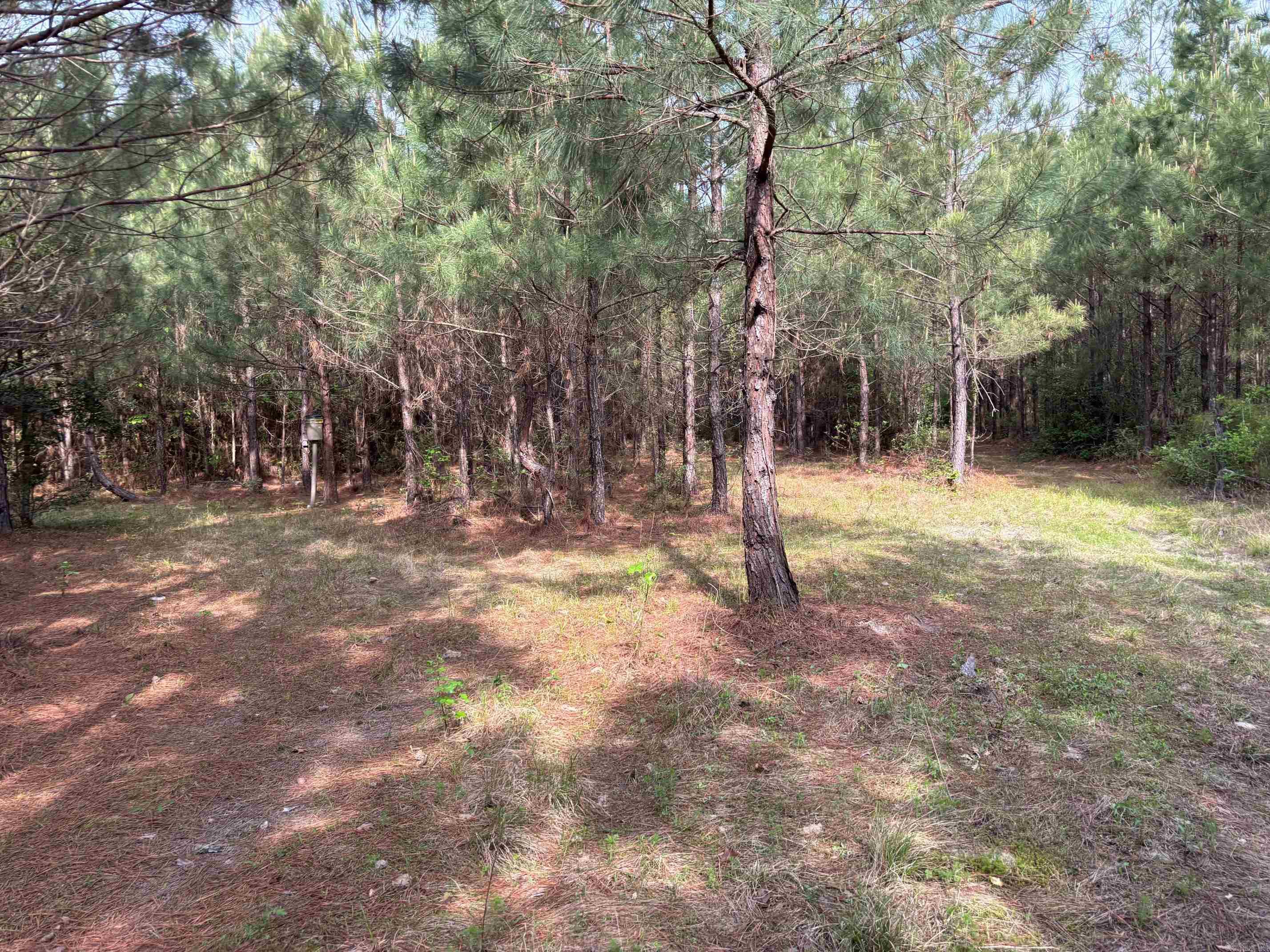 2533  Mail Route Road  Hensley, AR