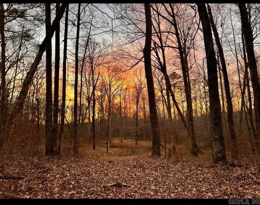 2533  Mail Route Road  Hensley, AR